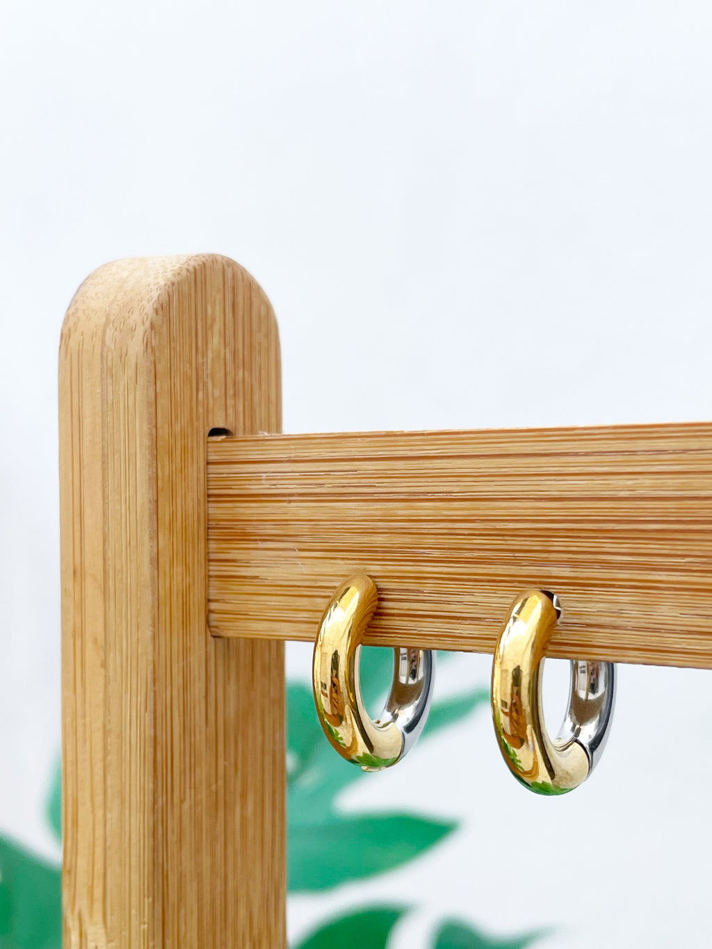 Aros bicolor 10mm (par)