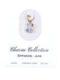 Charm nacimiento junio
