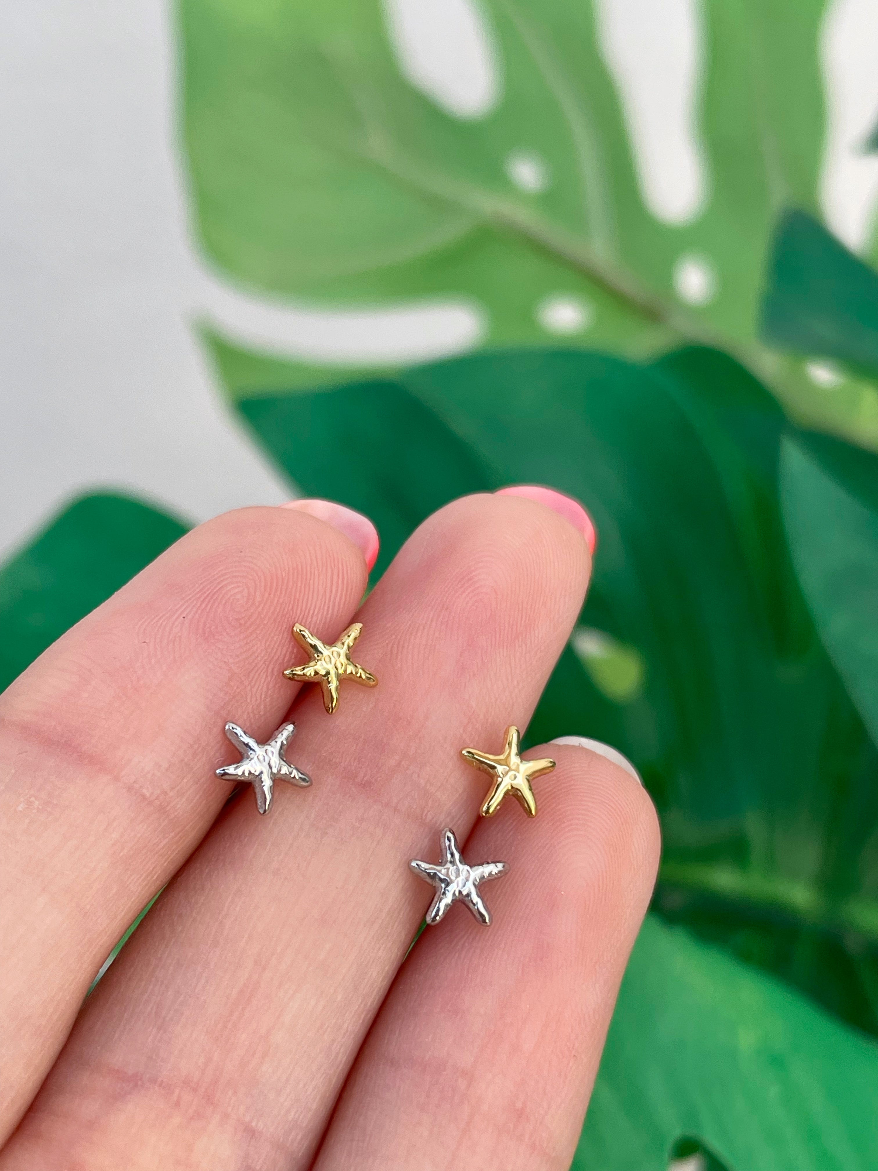 Mini estrella de mar (unidad)