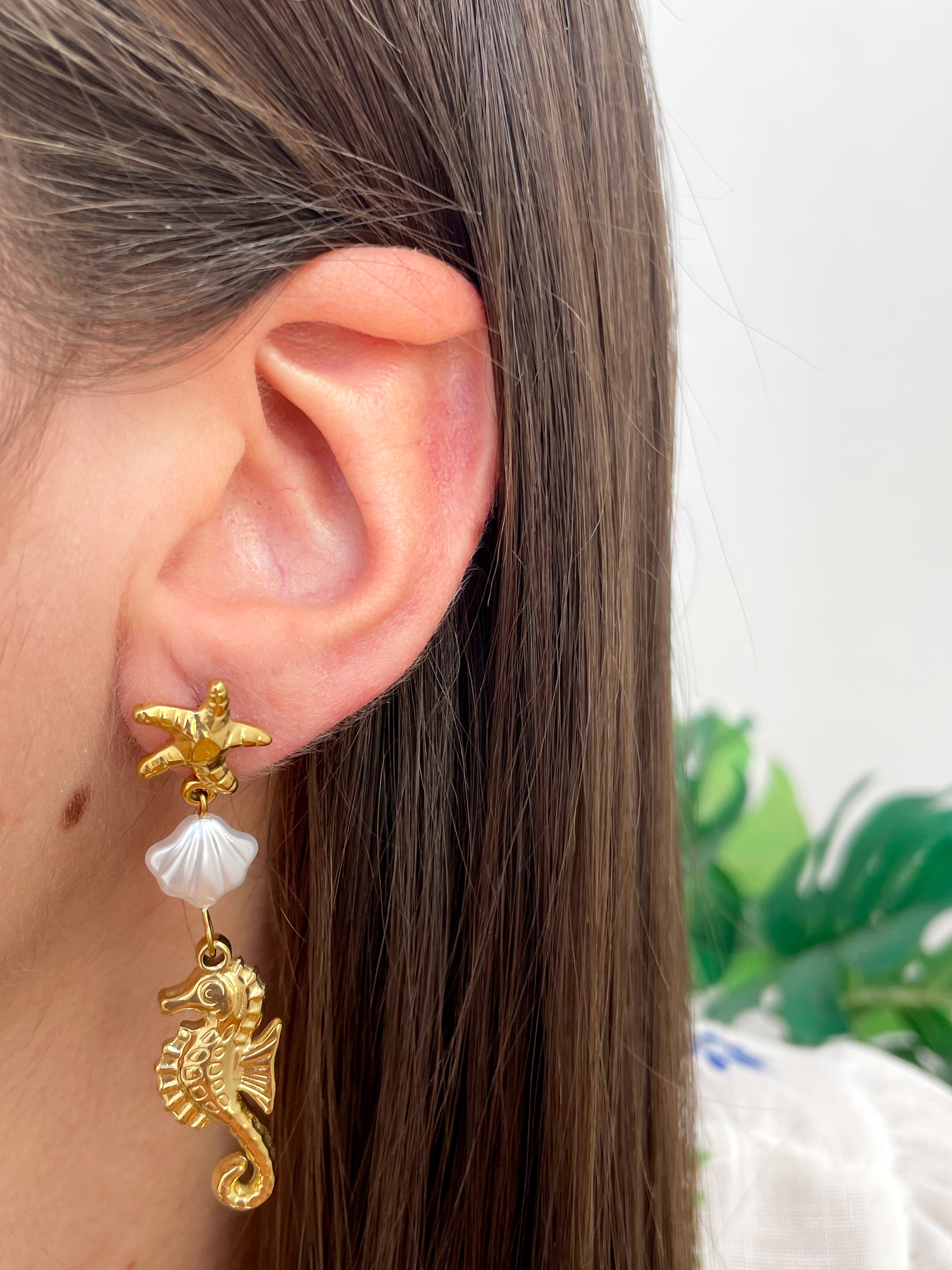 Caballito de mar y concha (par)