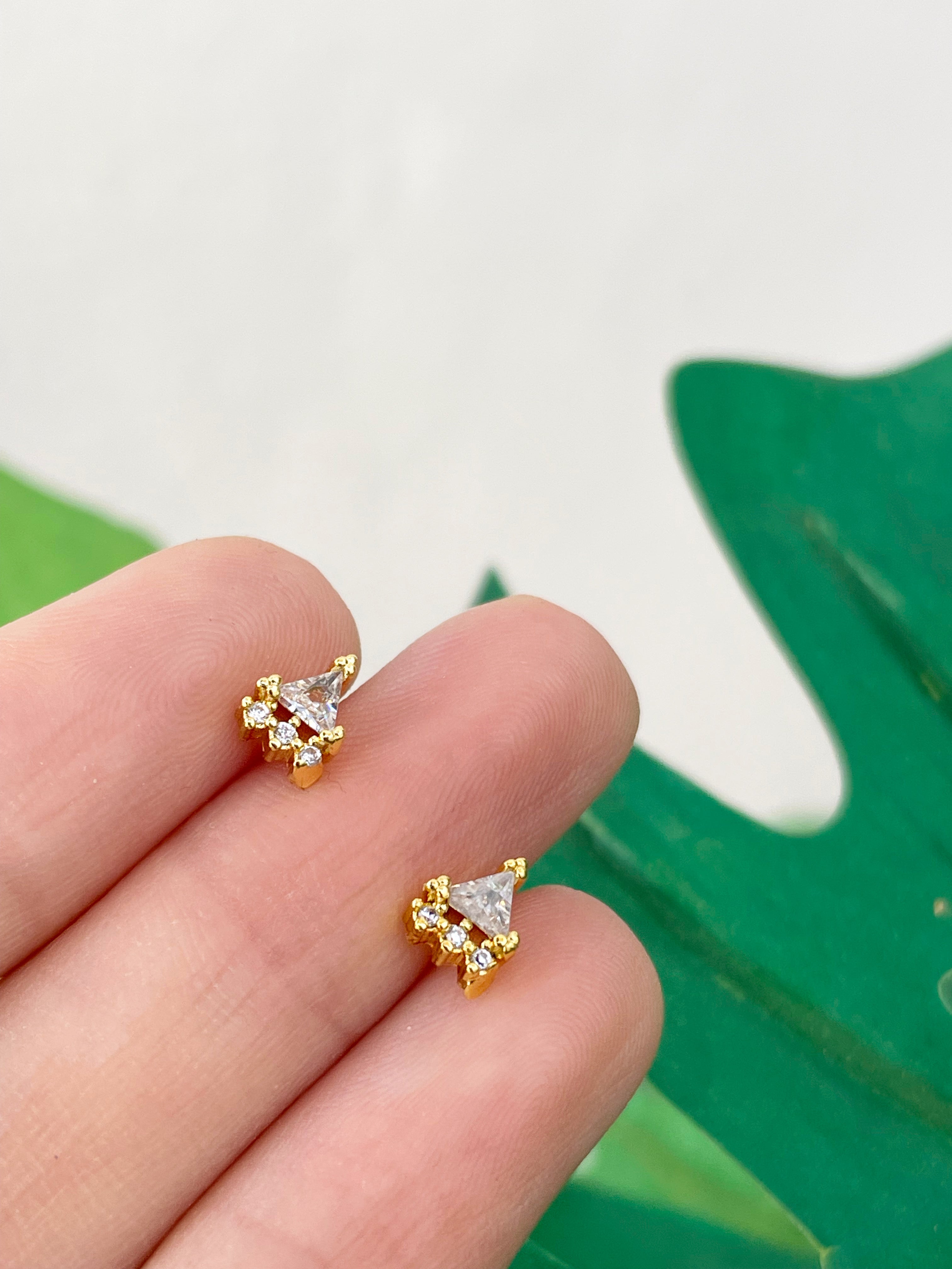 Mini Oli (unidad) Cierre plano