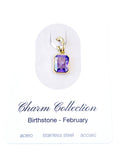 Charm nacimiento febrero