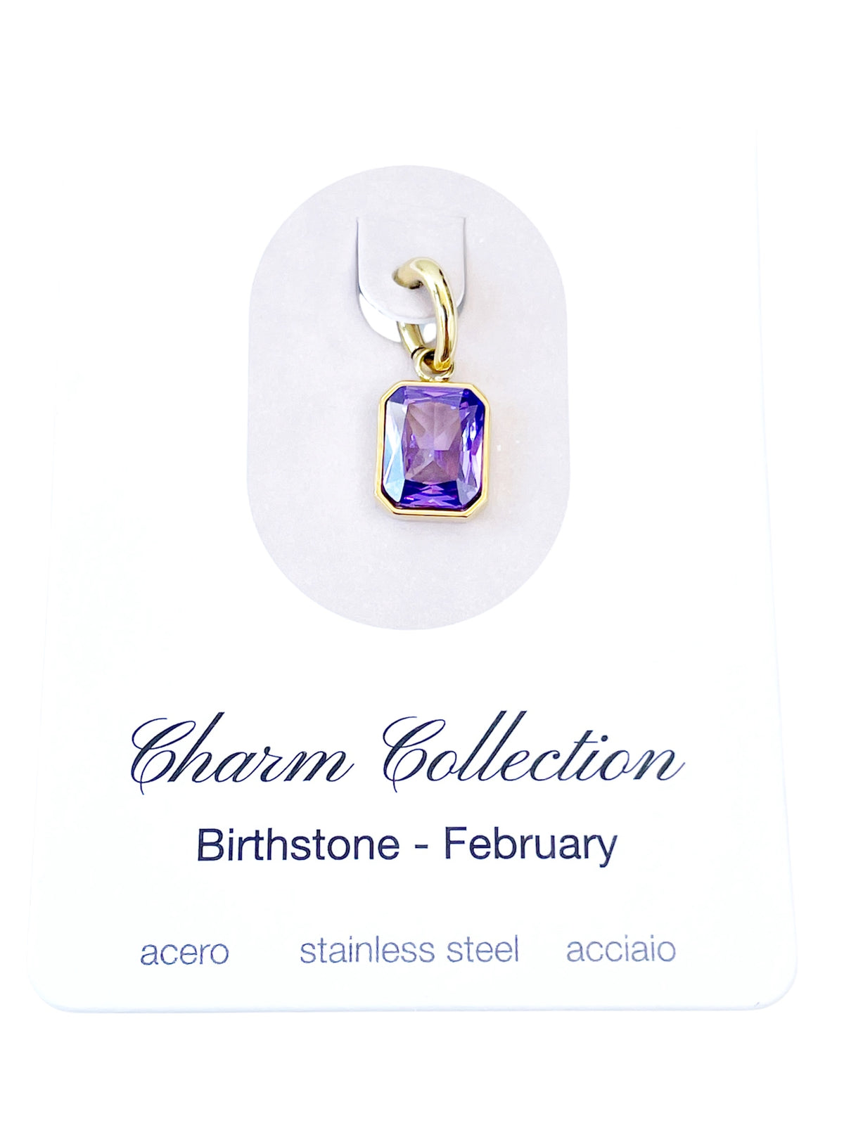 Charm nacimiento febrero