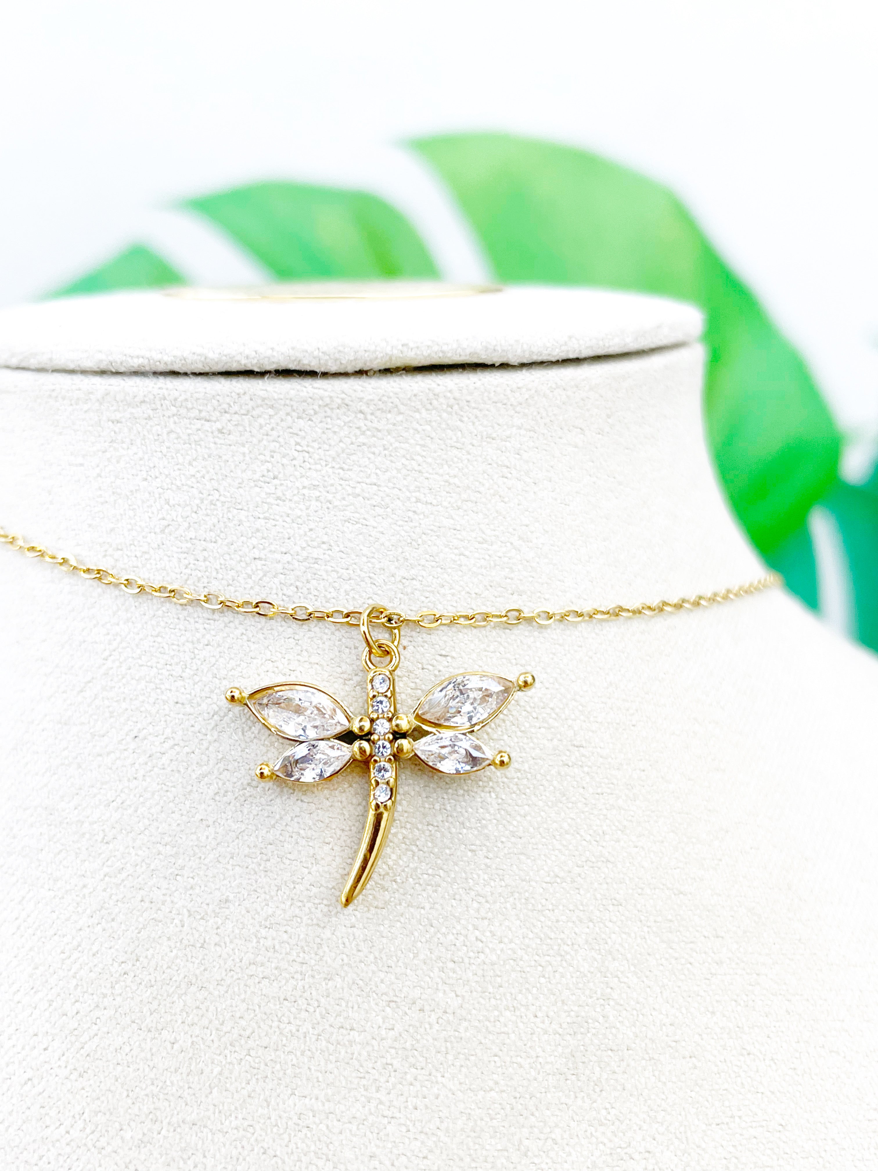 Libélula circonitas