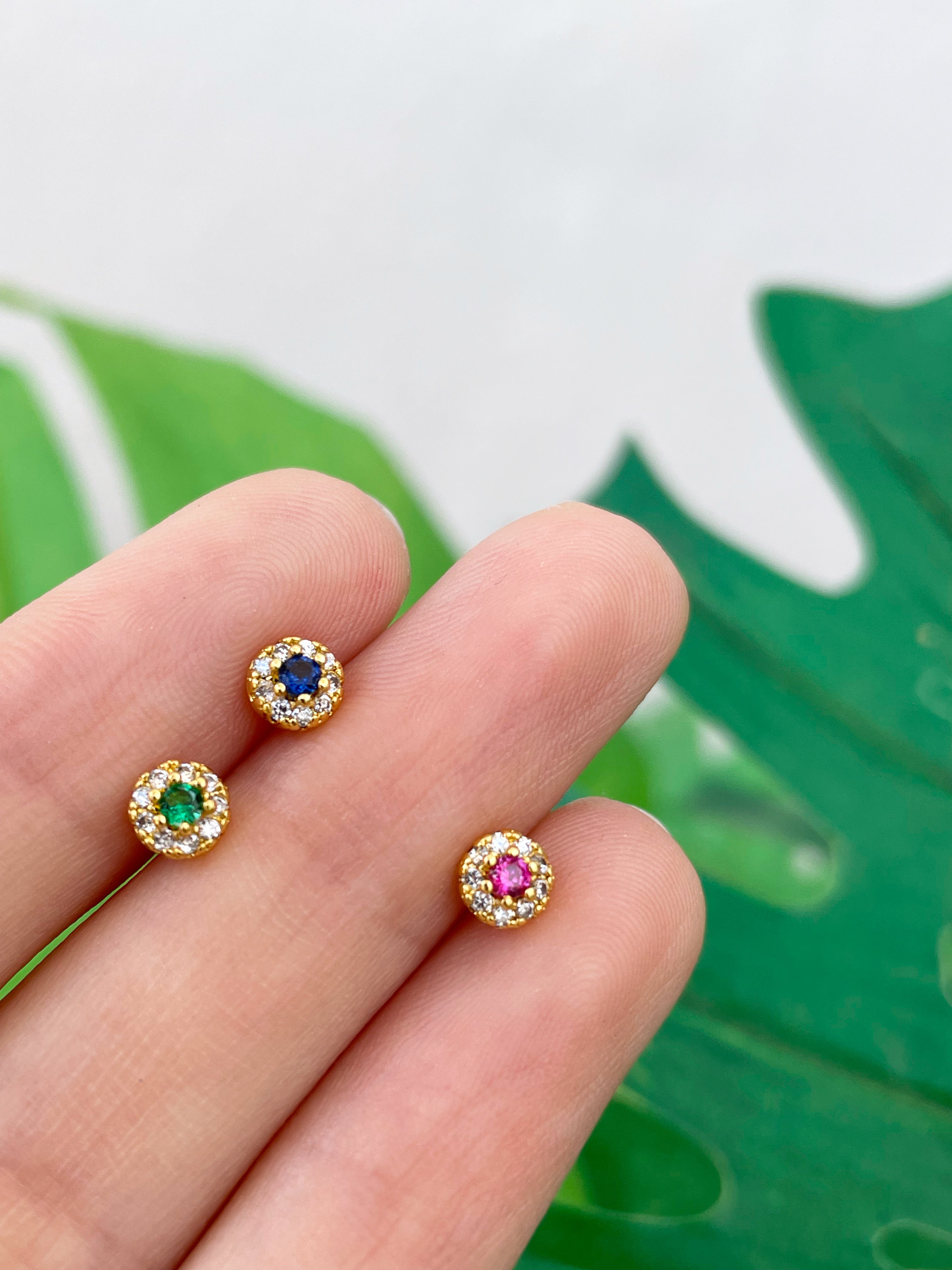 Minis Oli (unidad) Cierre plano