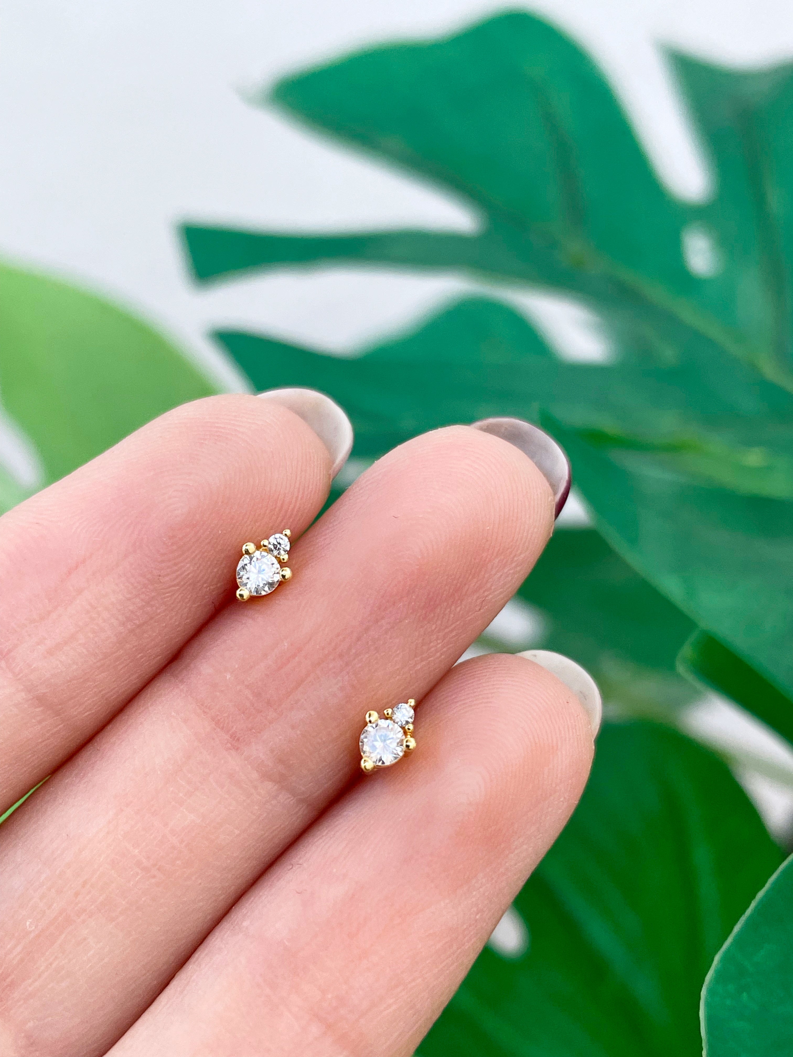 Mini Telma (unidad) Cierre plano