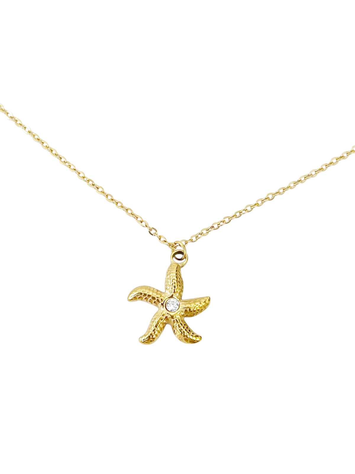 Estrella de mar circonitas