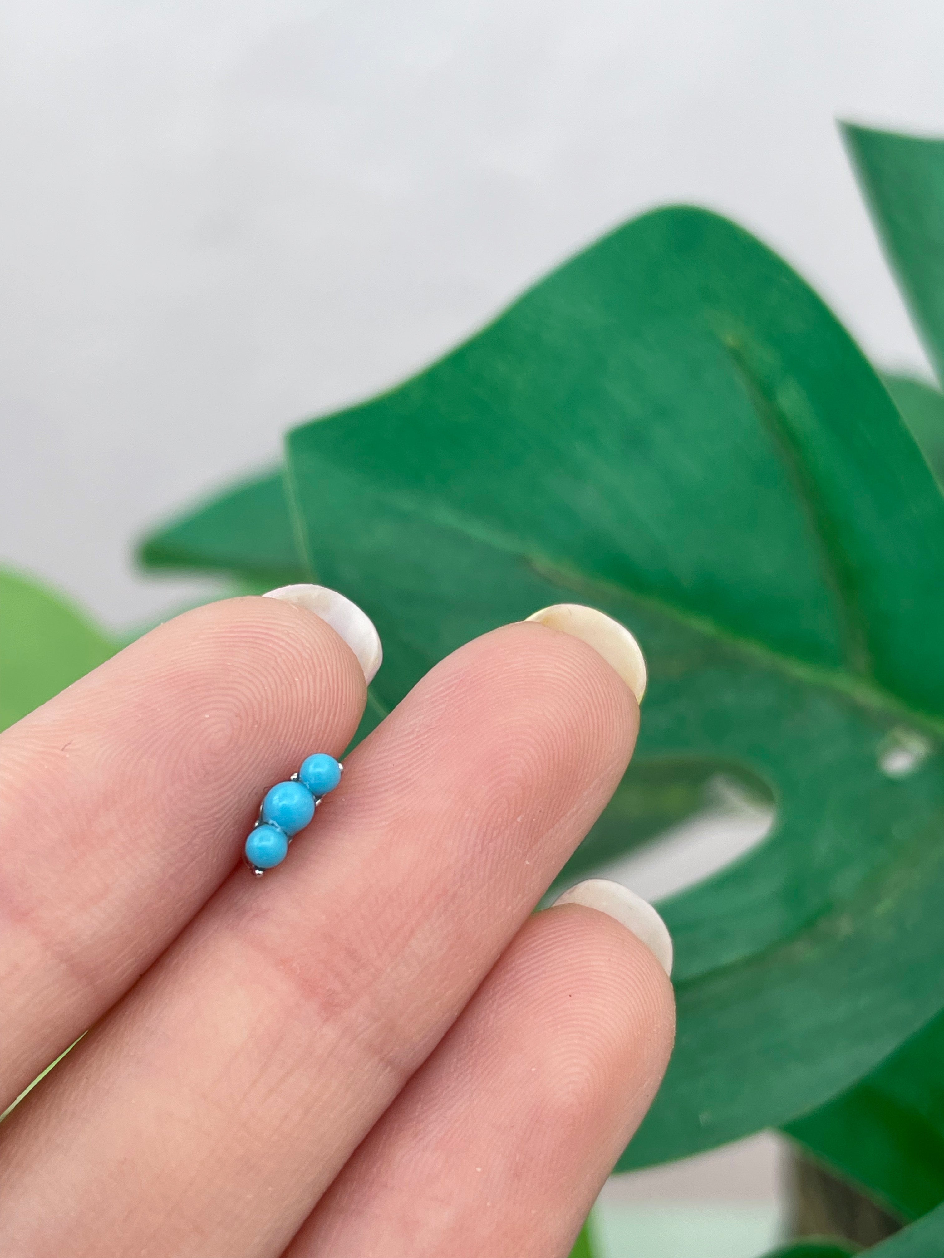 Mini Kelsia plata (unidad) Cierre plano