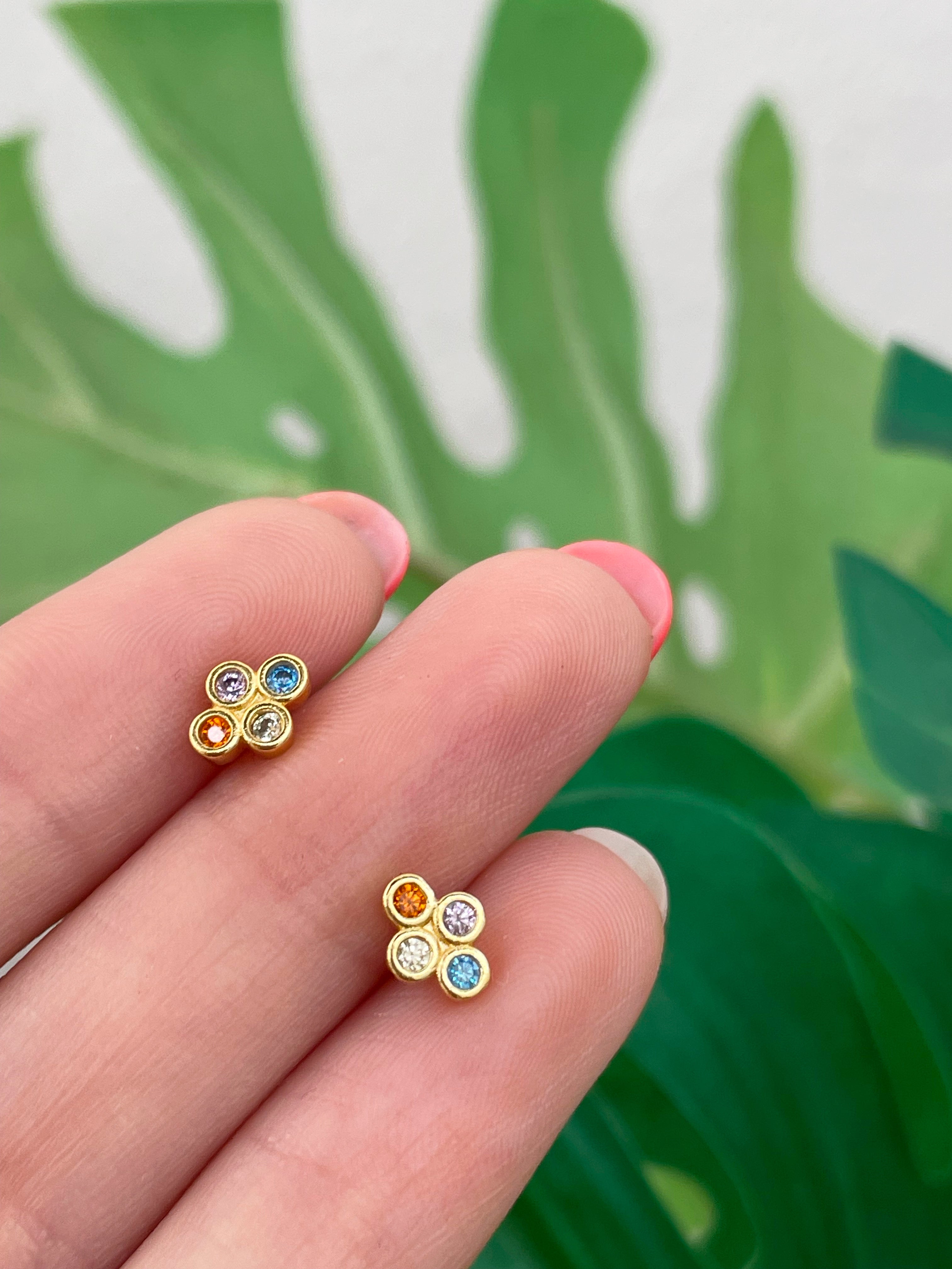 Mini Elisa (unidad) Cierre plano