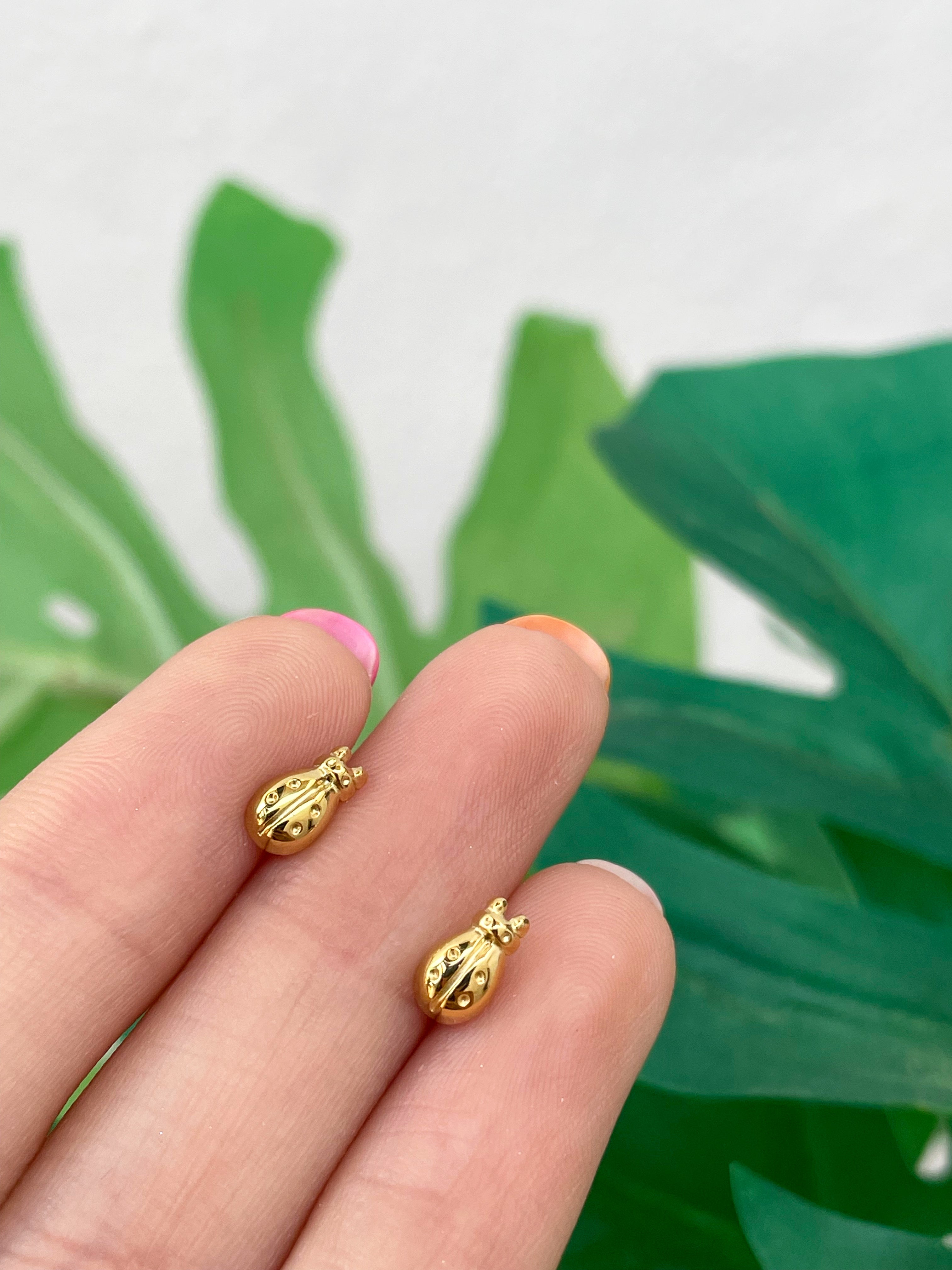 Mini mariquita (unidad)