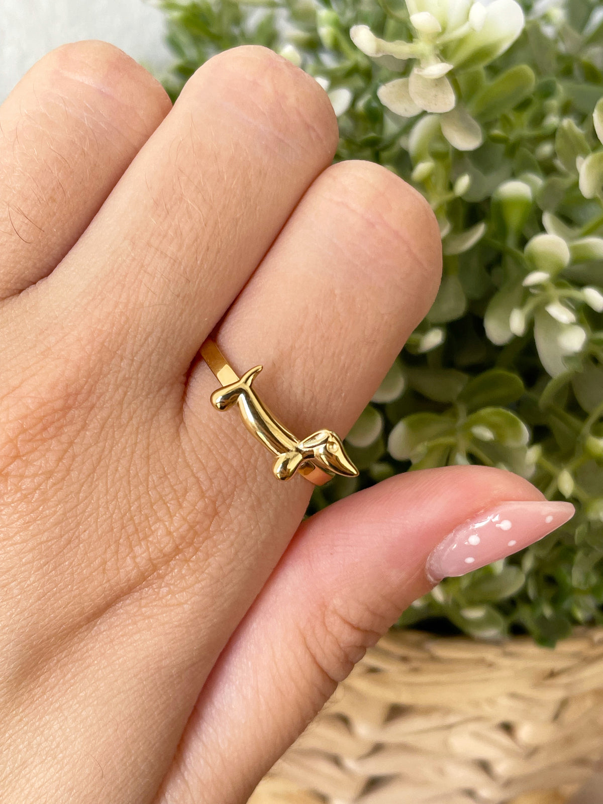 Anillo teckel