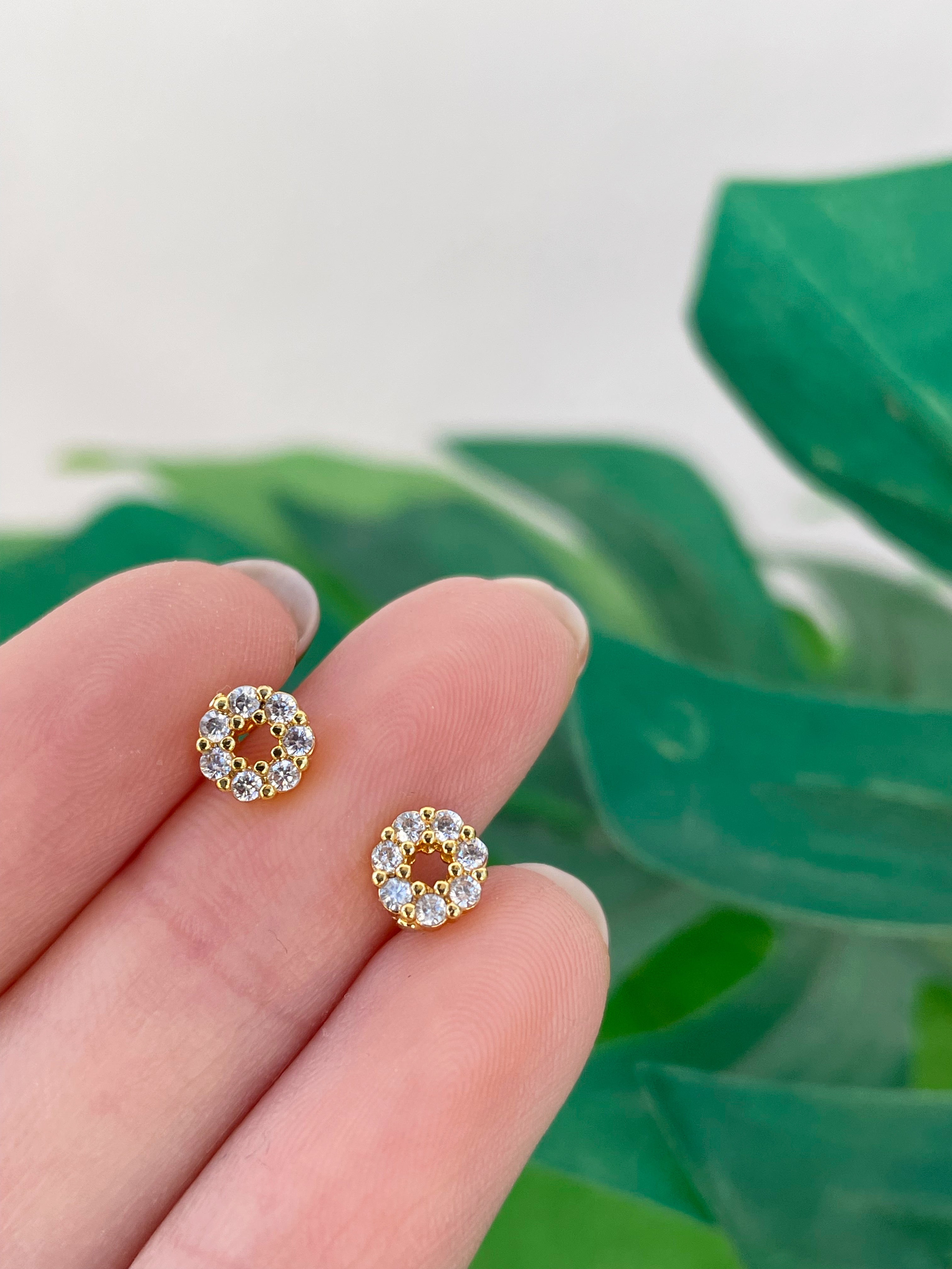 Mini Oli (unidad) Cierre plano