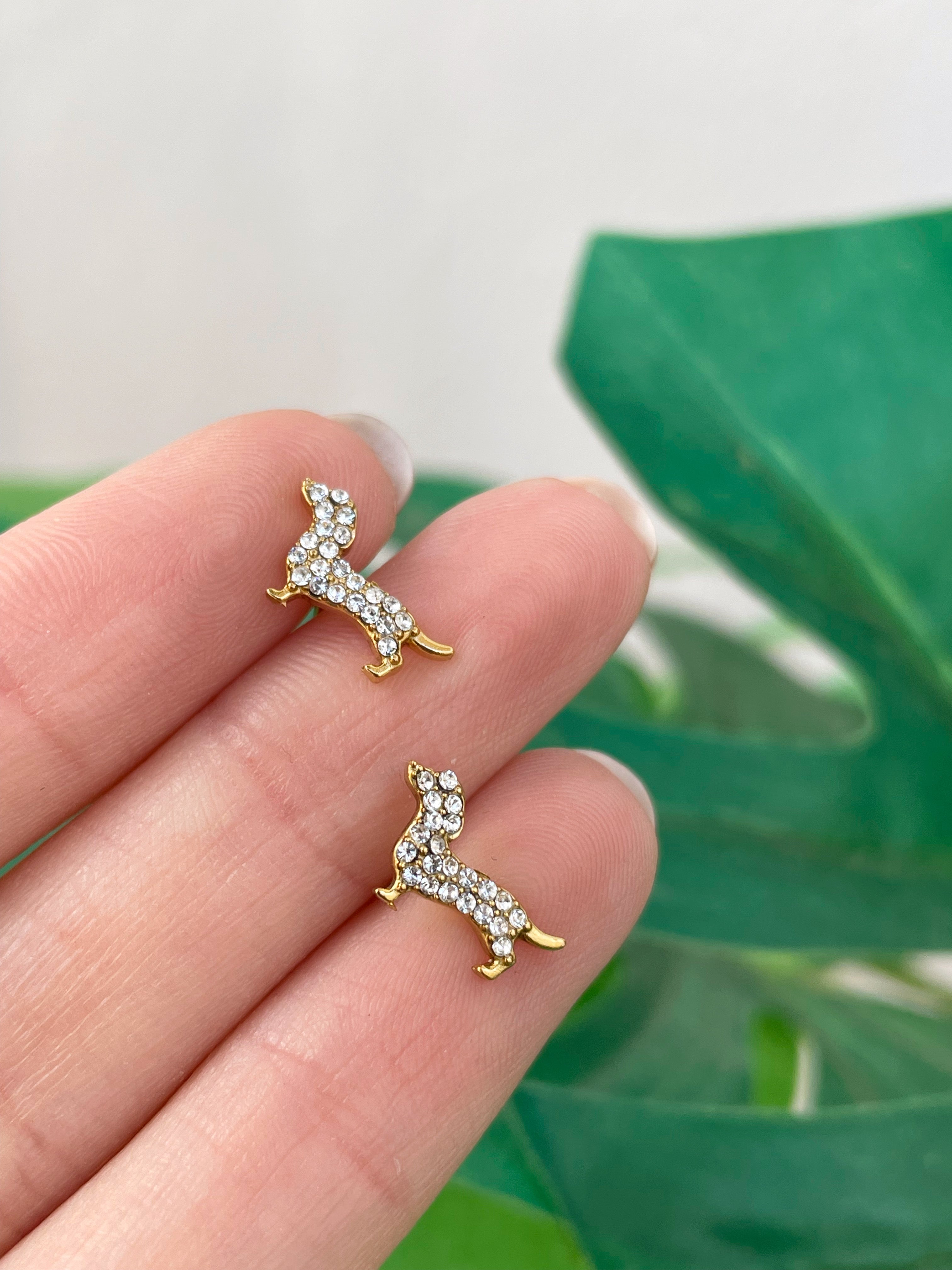 Mini teckel (unidad)