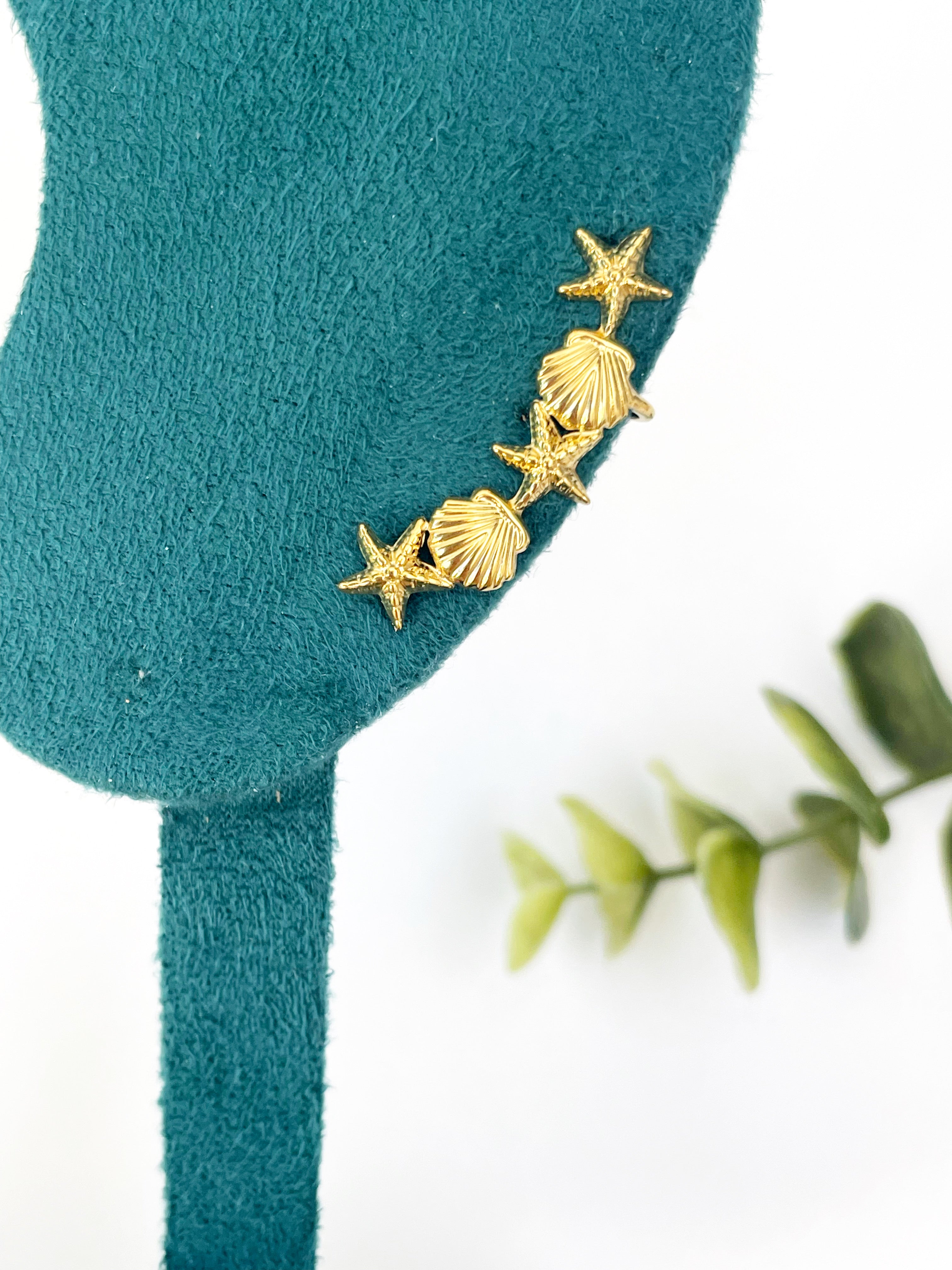 Trepador summer (unidad)