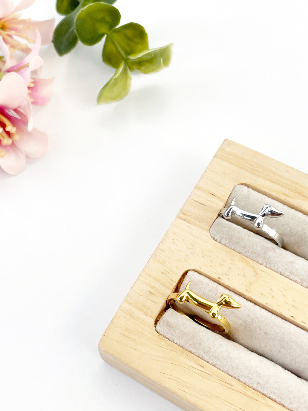 Anillo teckel