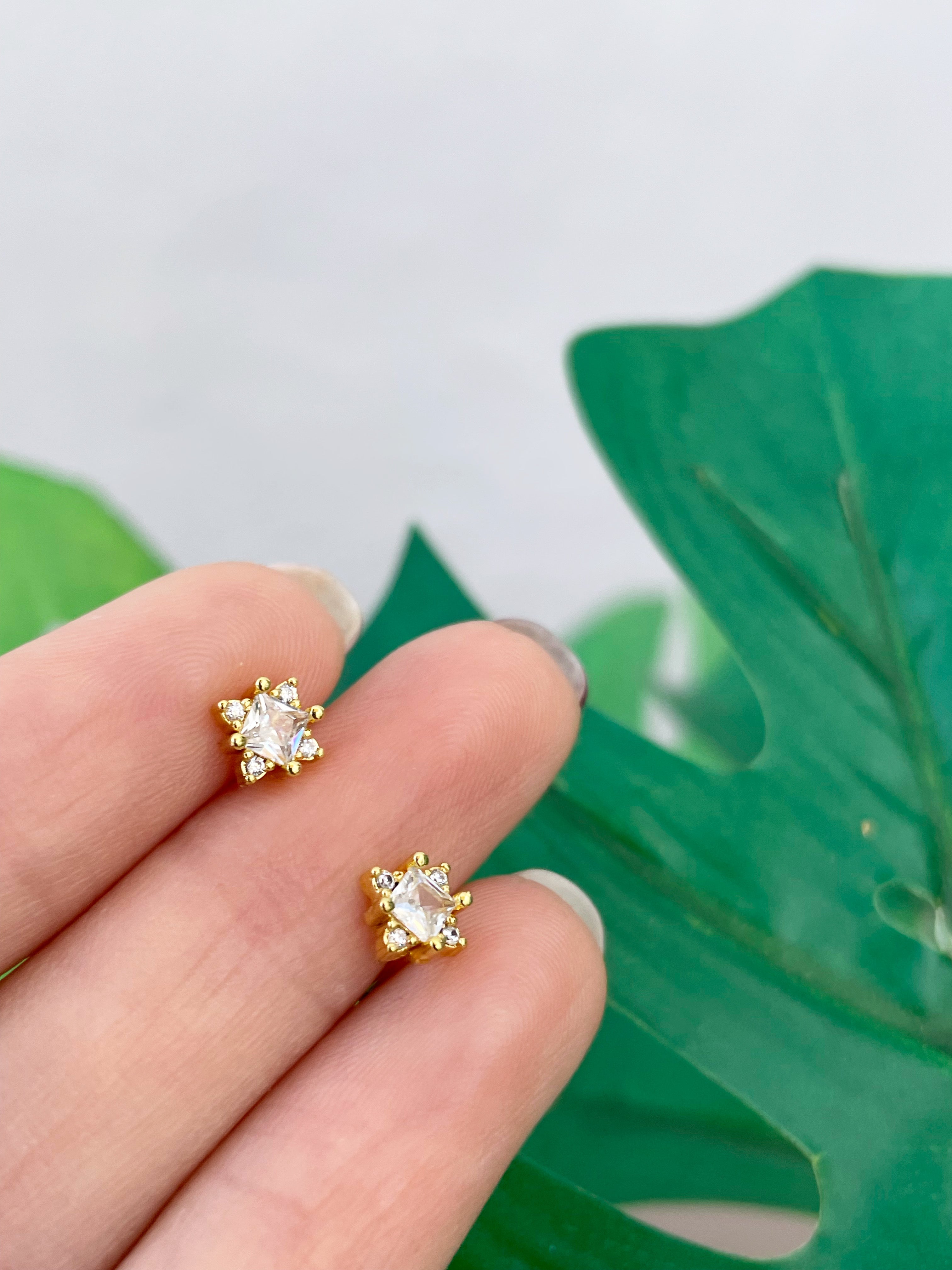 Mini Claire (unidad) Cierre plano