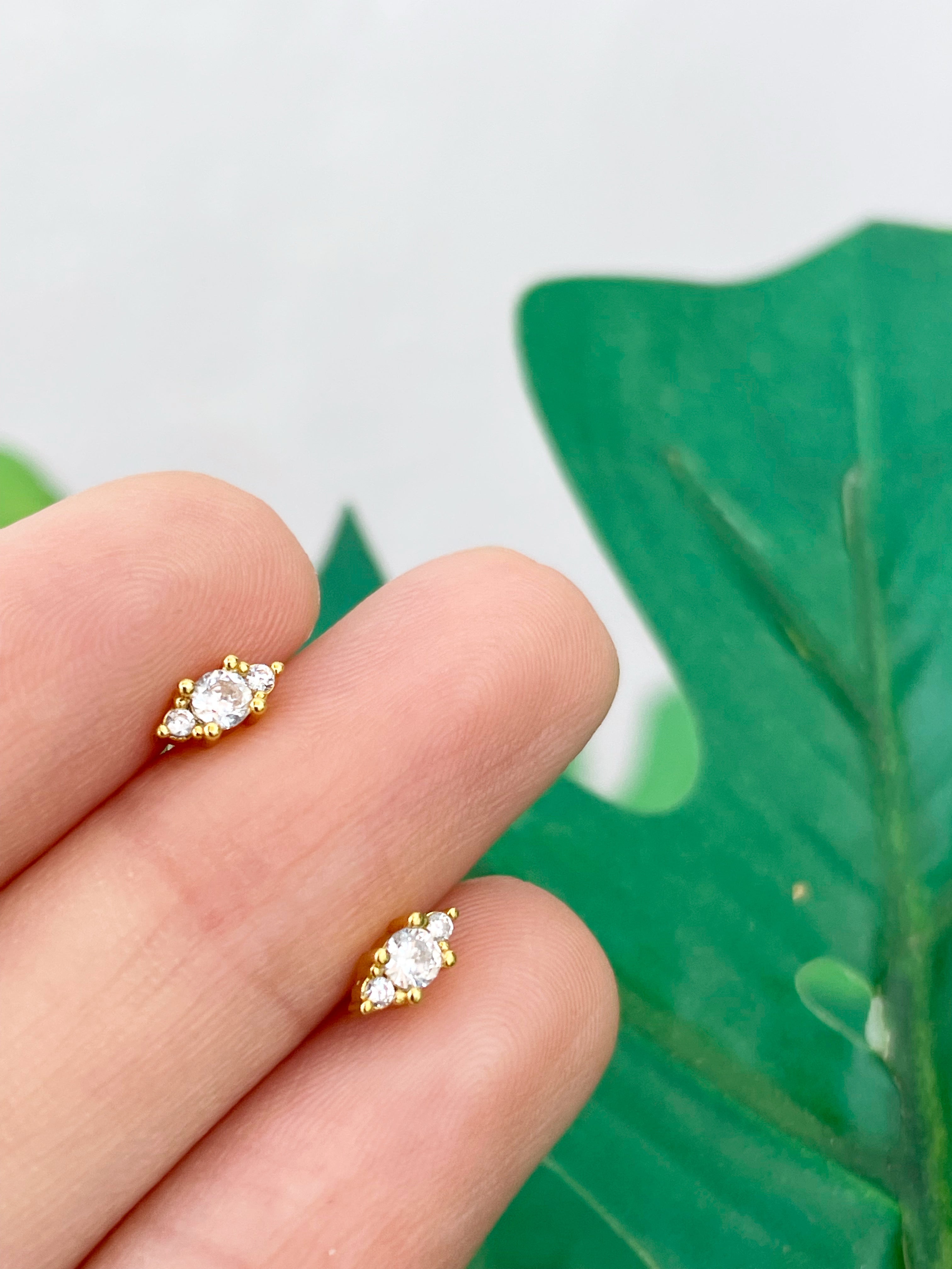 Mini Jimena (unidad) Cierre plano