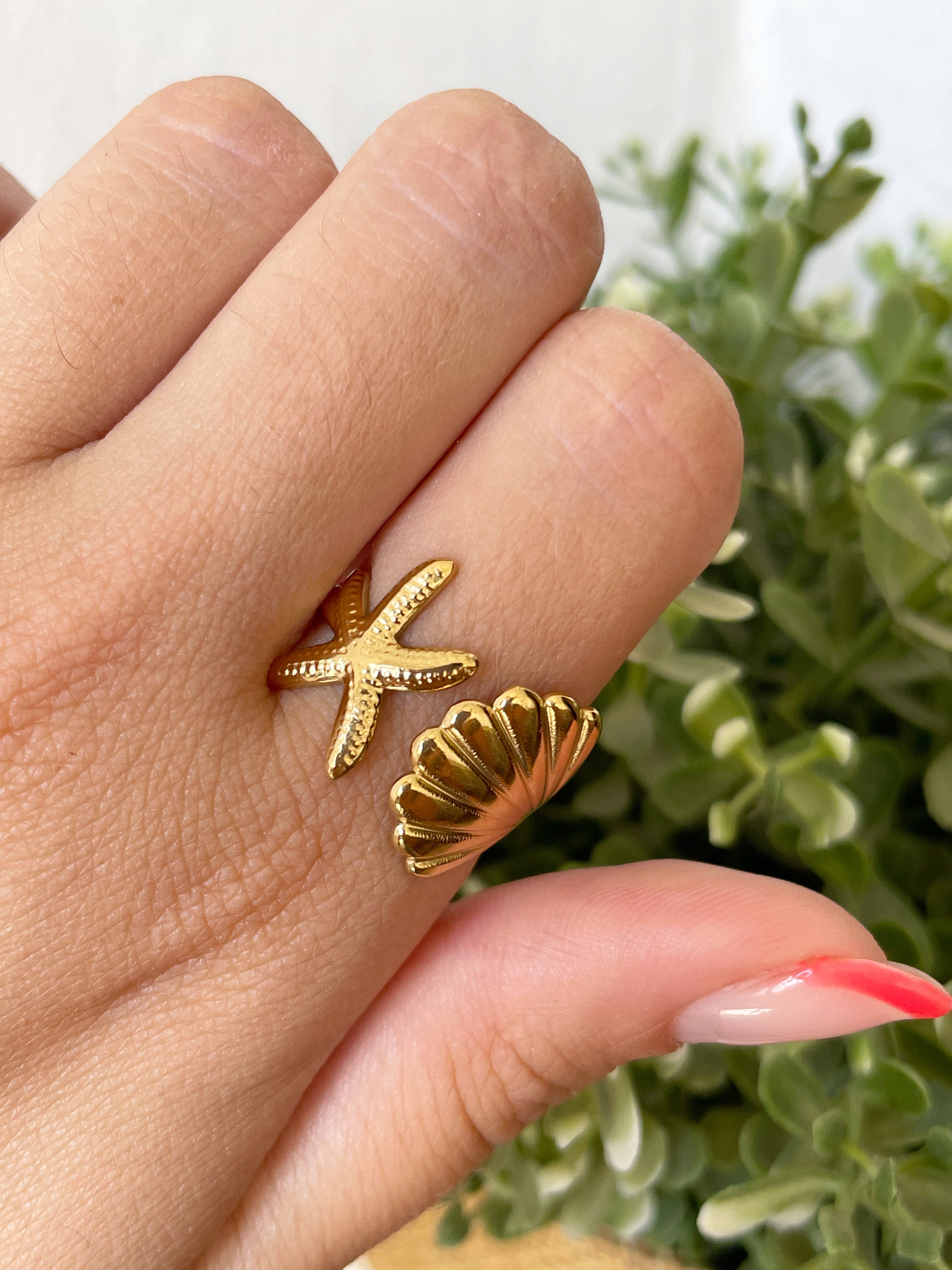 Concha y estrella de mar