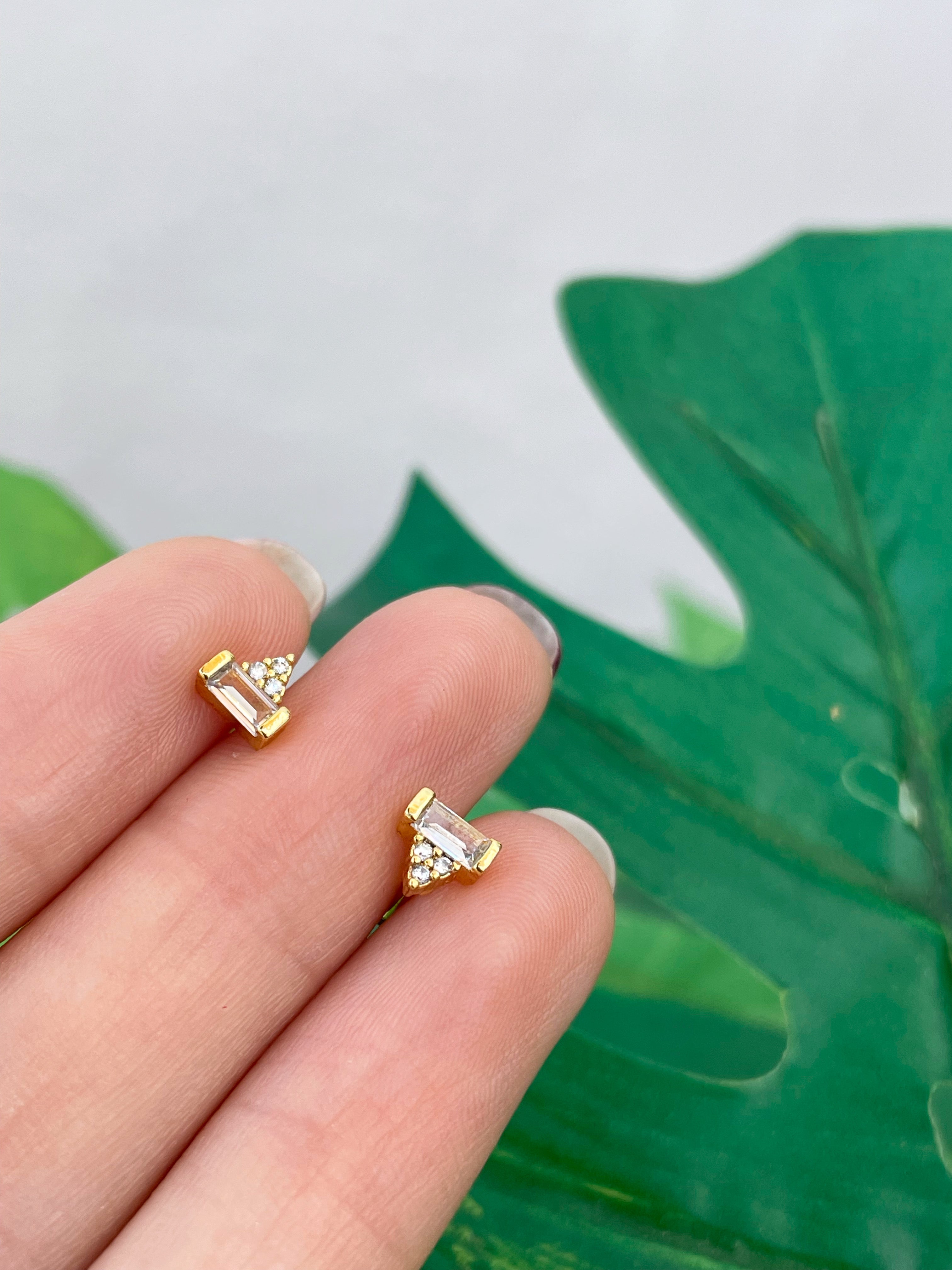 Mini Lúa (unidad) Cierre plano