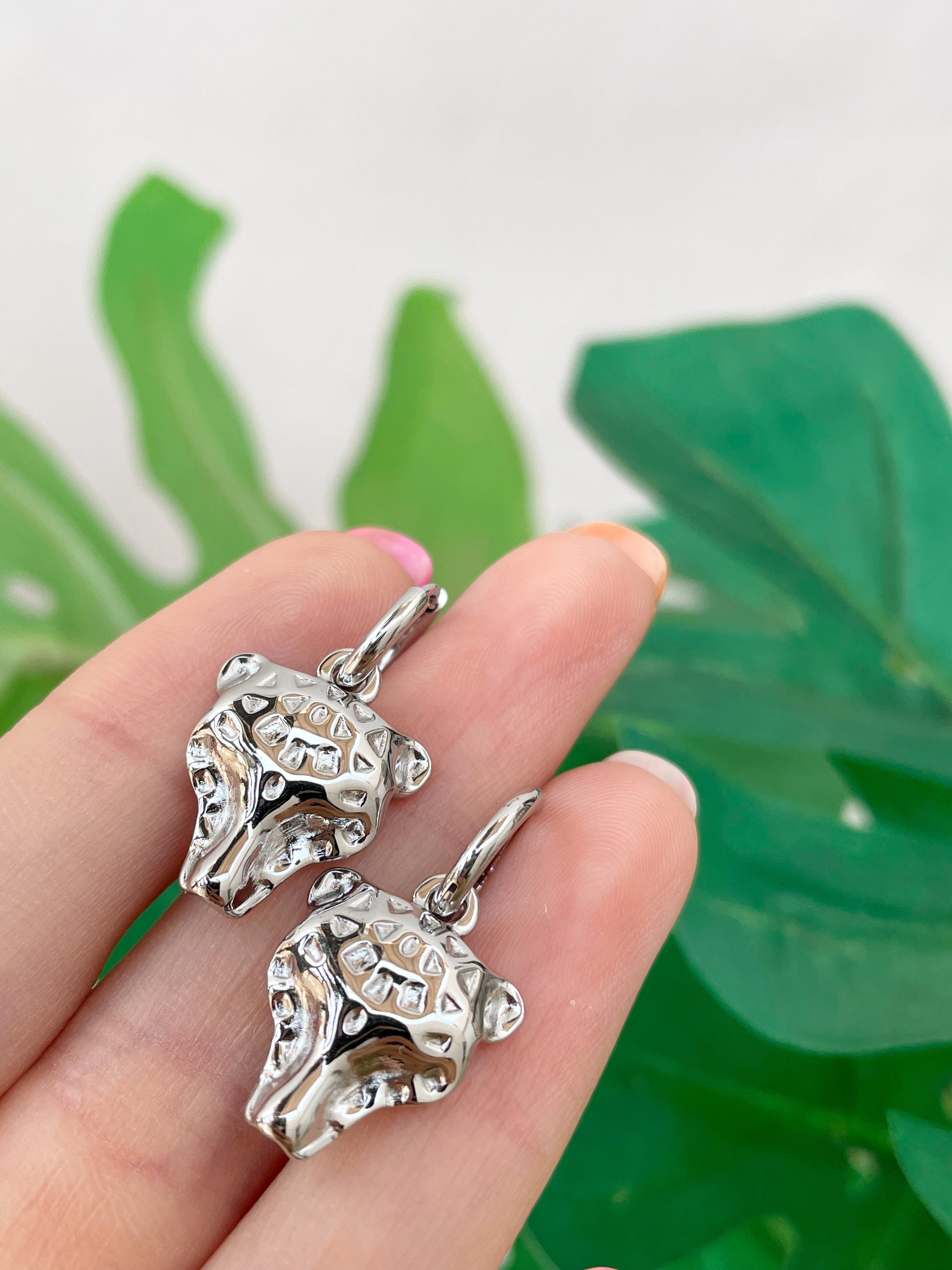 Salvaje plata 10mm (par)