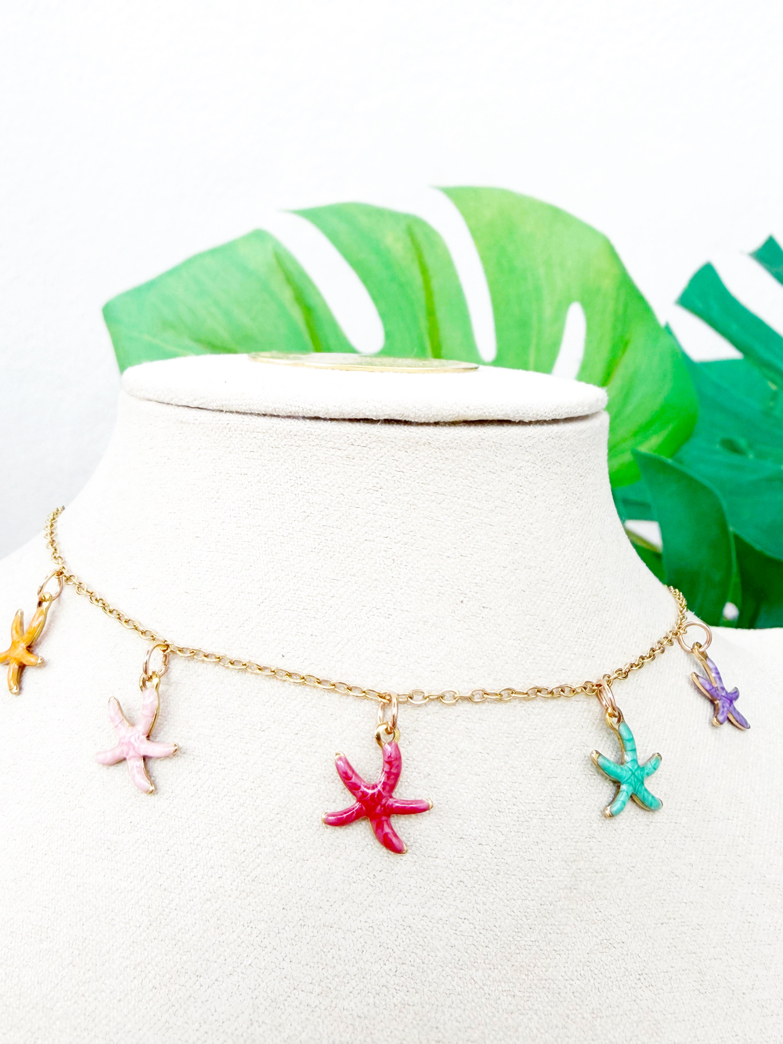 Mix estrellas de mar