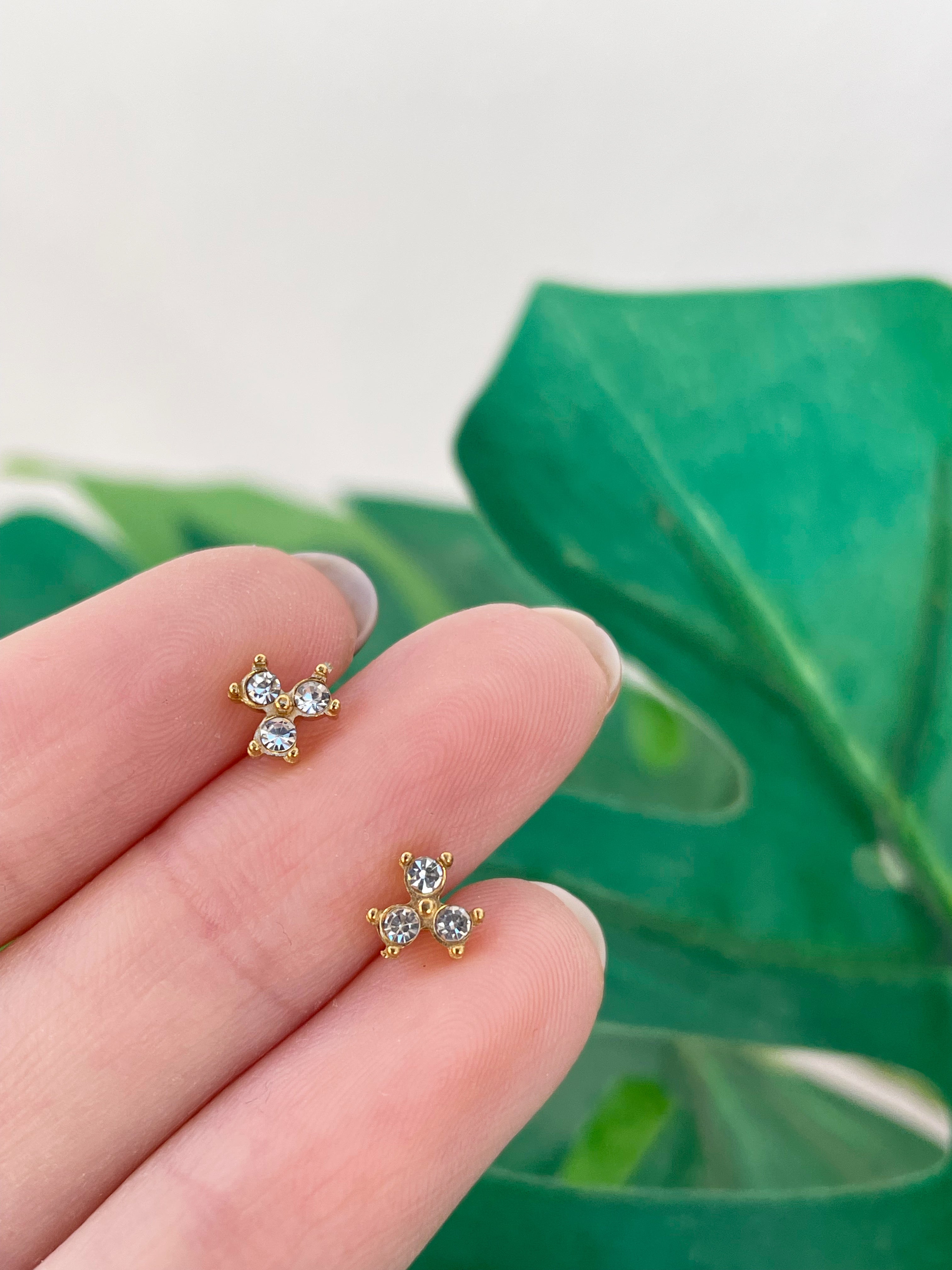 Mini Tessa (unidad) Cierre plano