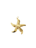 Charm estrella de mar
