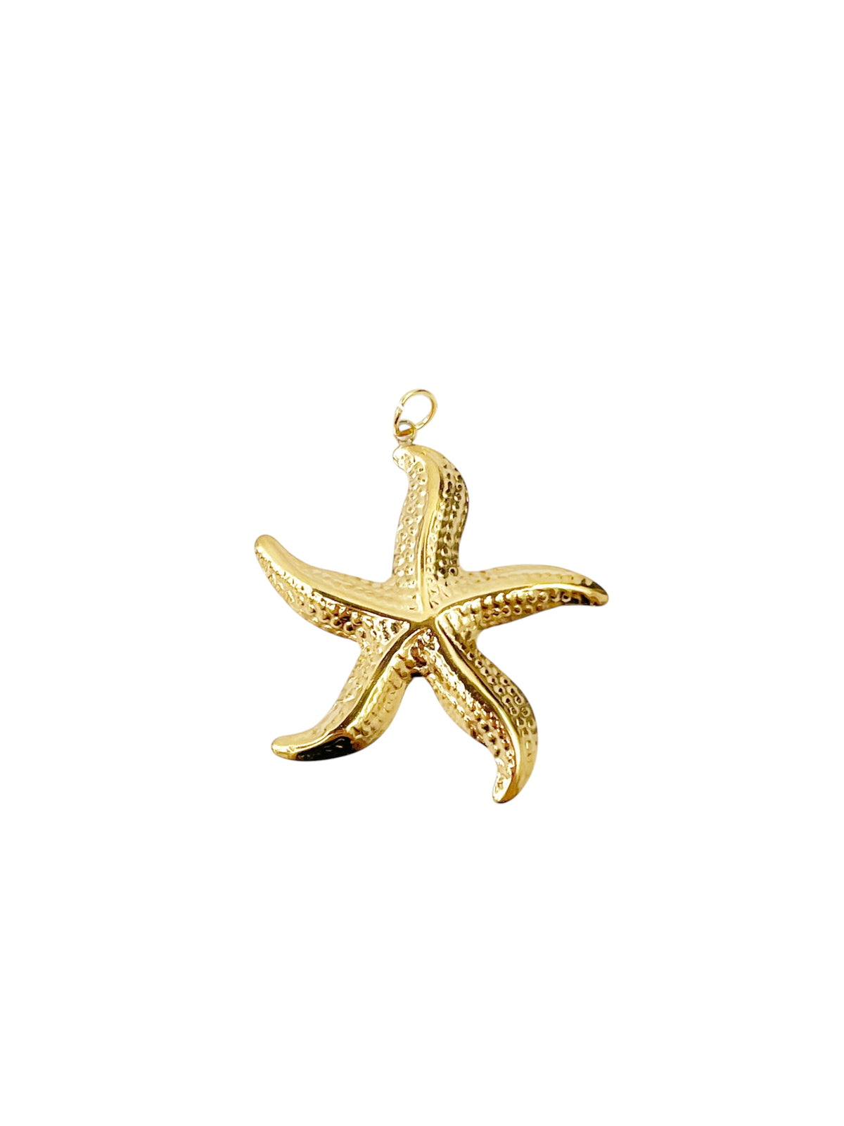 Charm estrella de mar