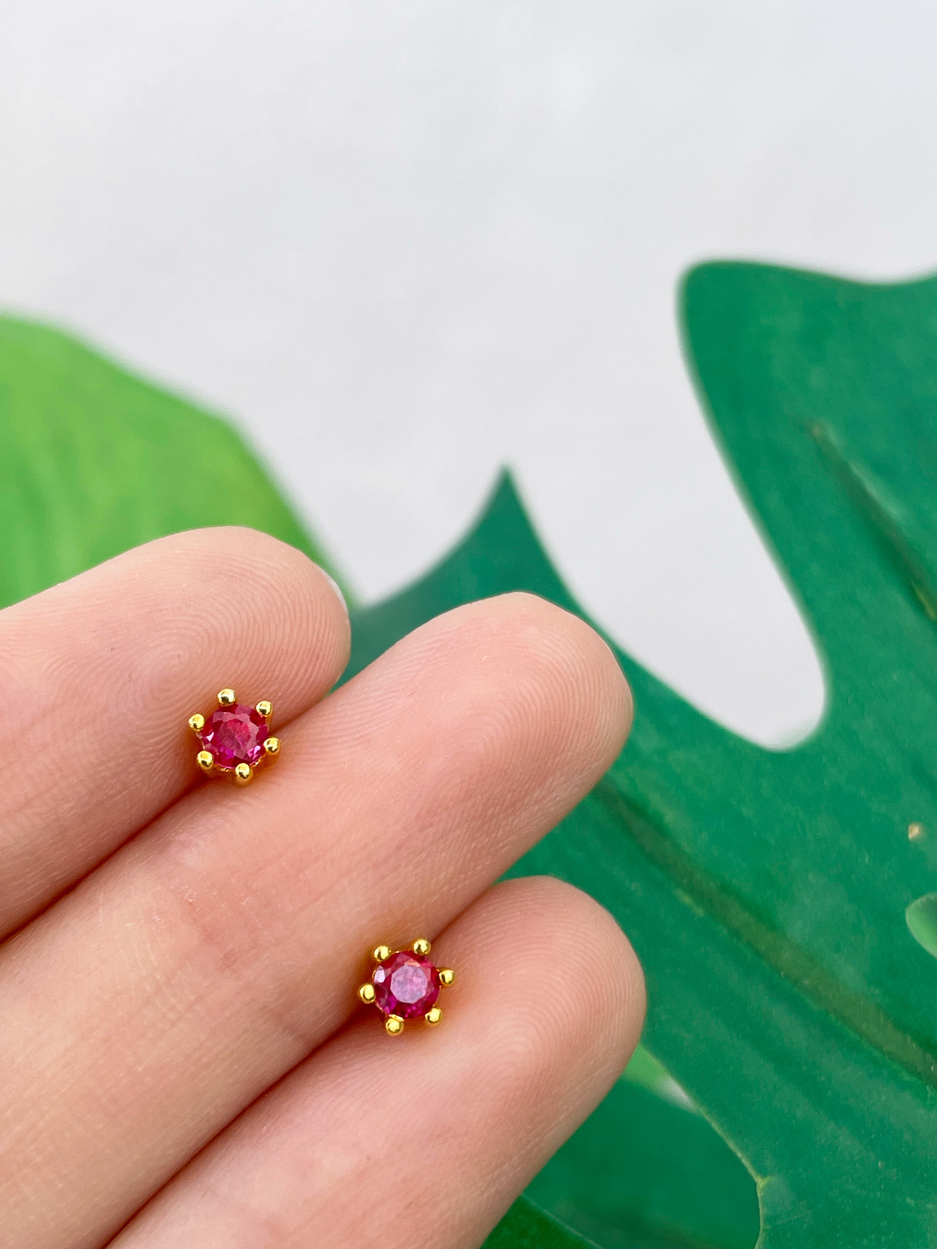 Mini Fionna (unidad) Cierre plano