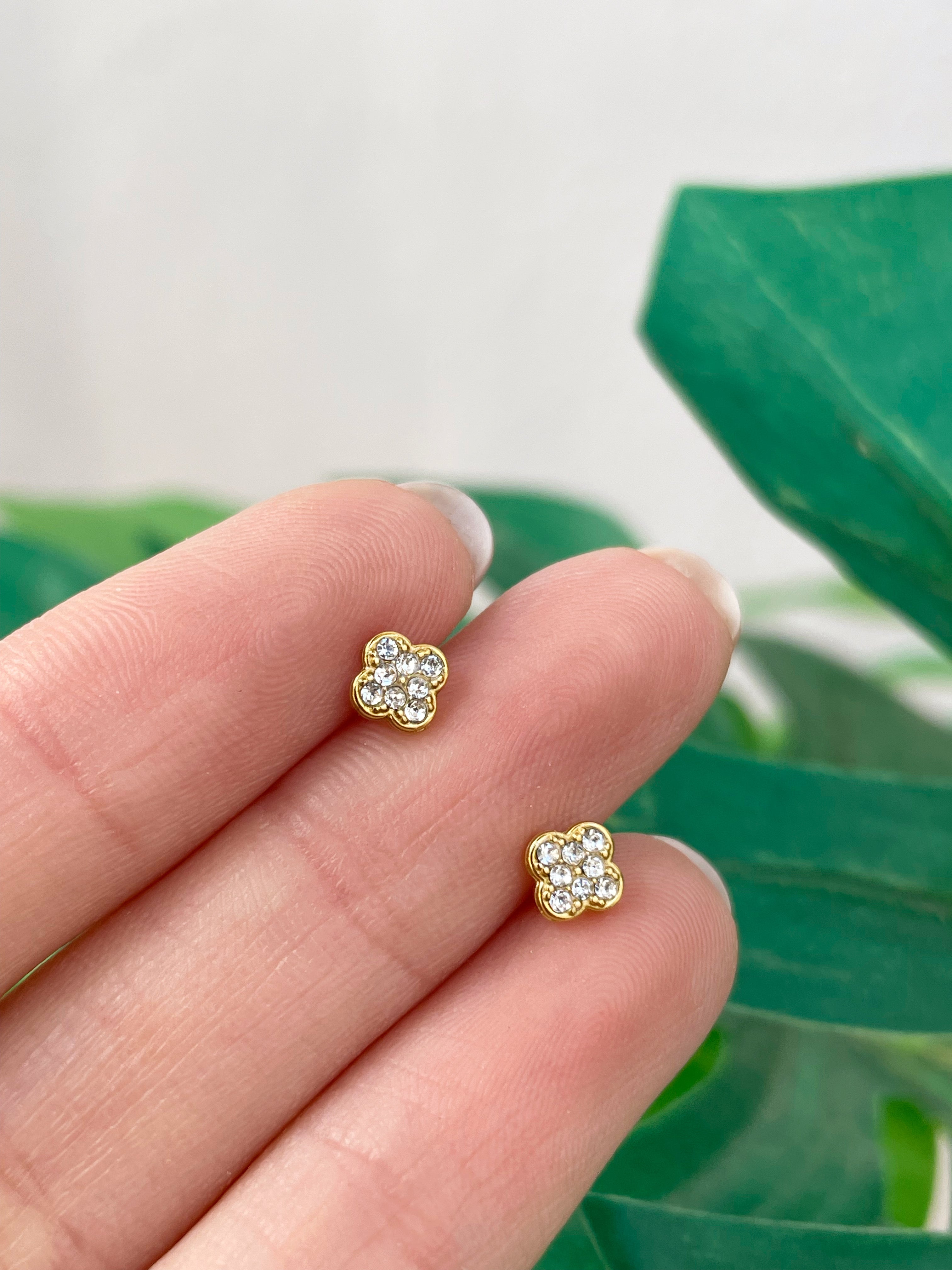 Mini Sophie (unidad)