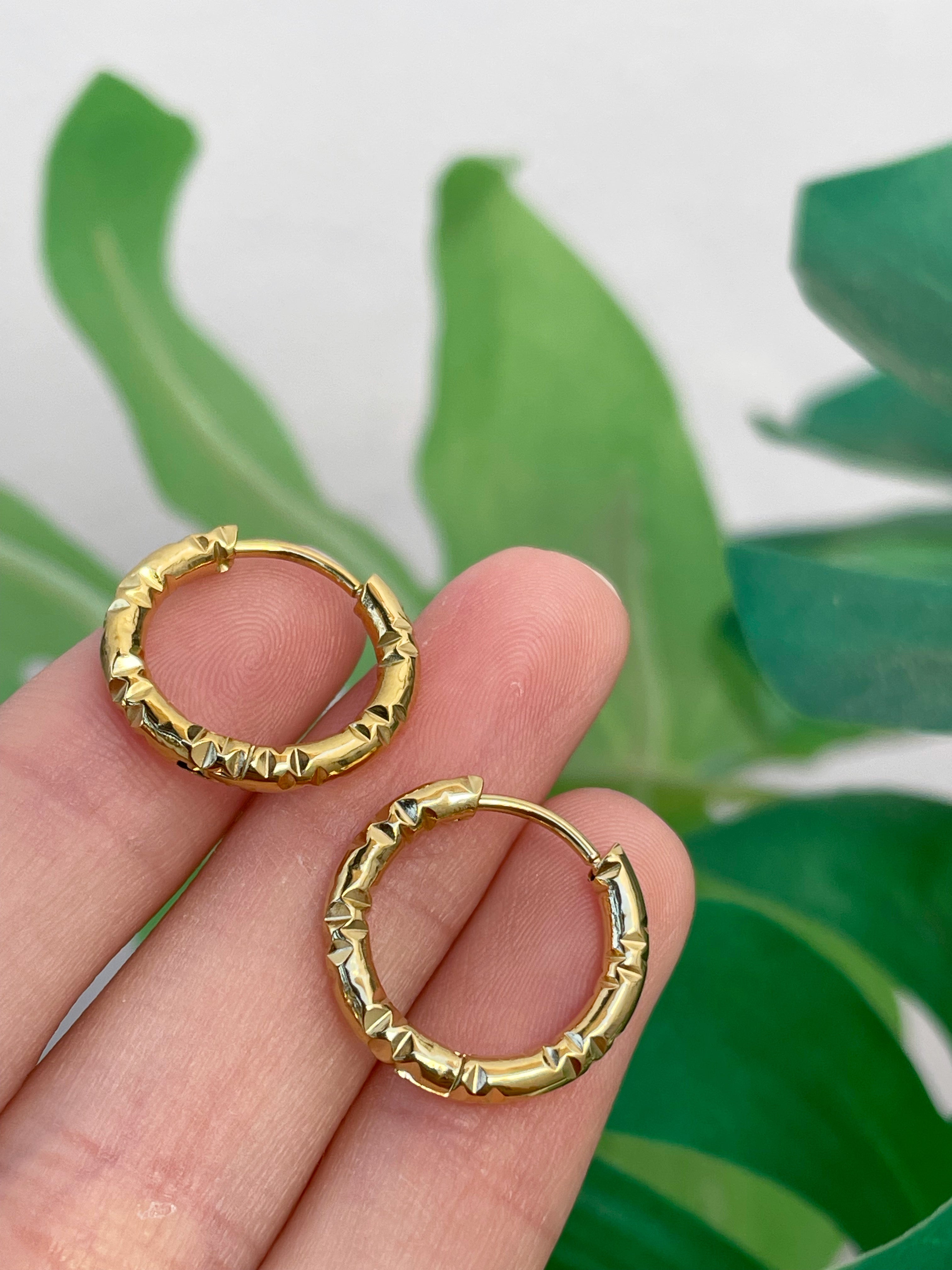 Aros Dina 12mm (par)