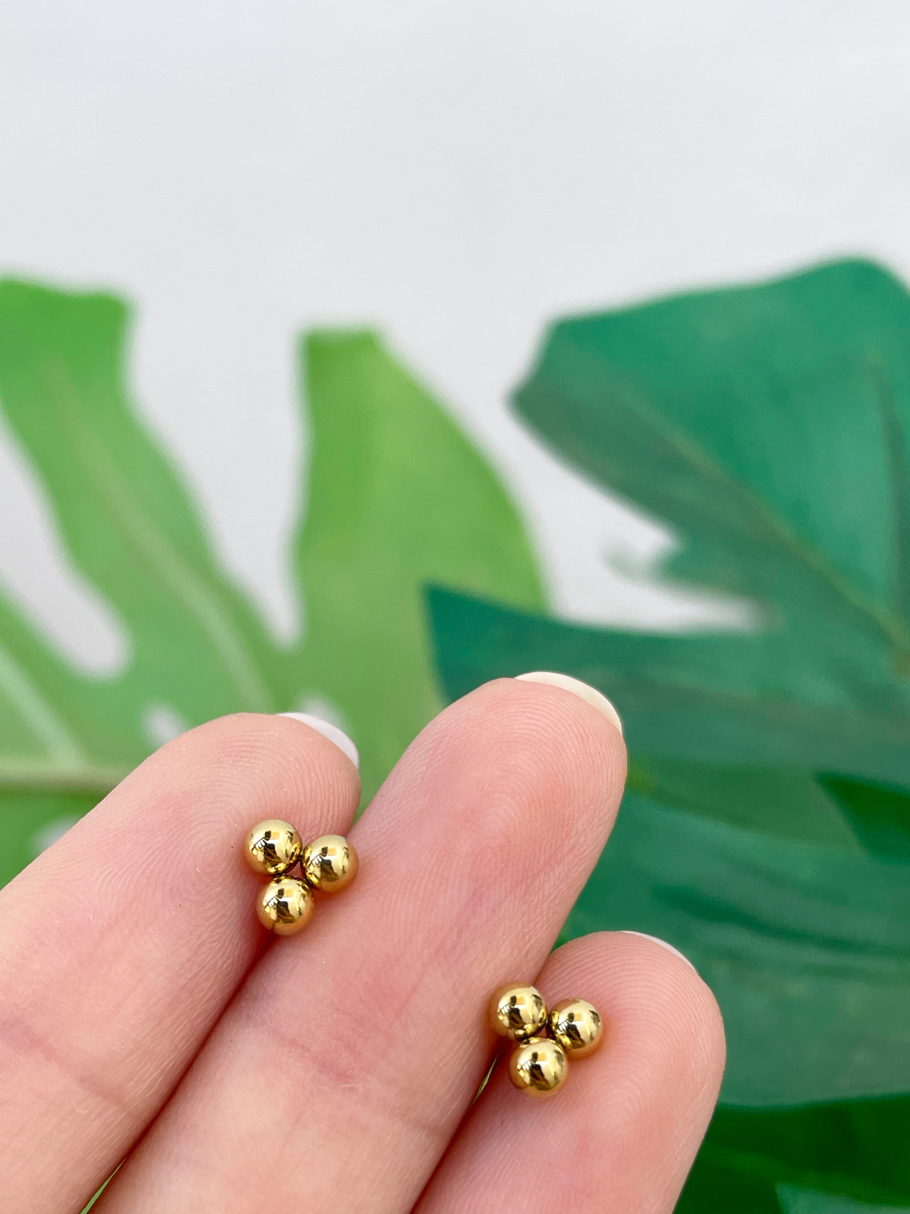 Mini tribolitas (unidad)