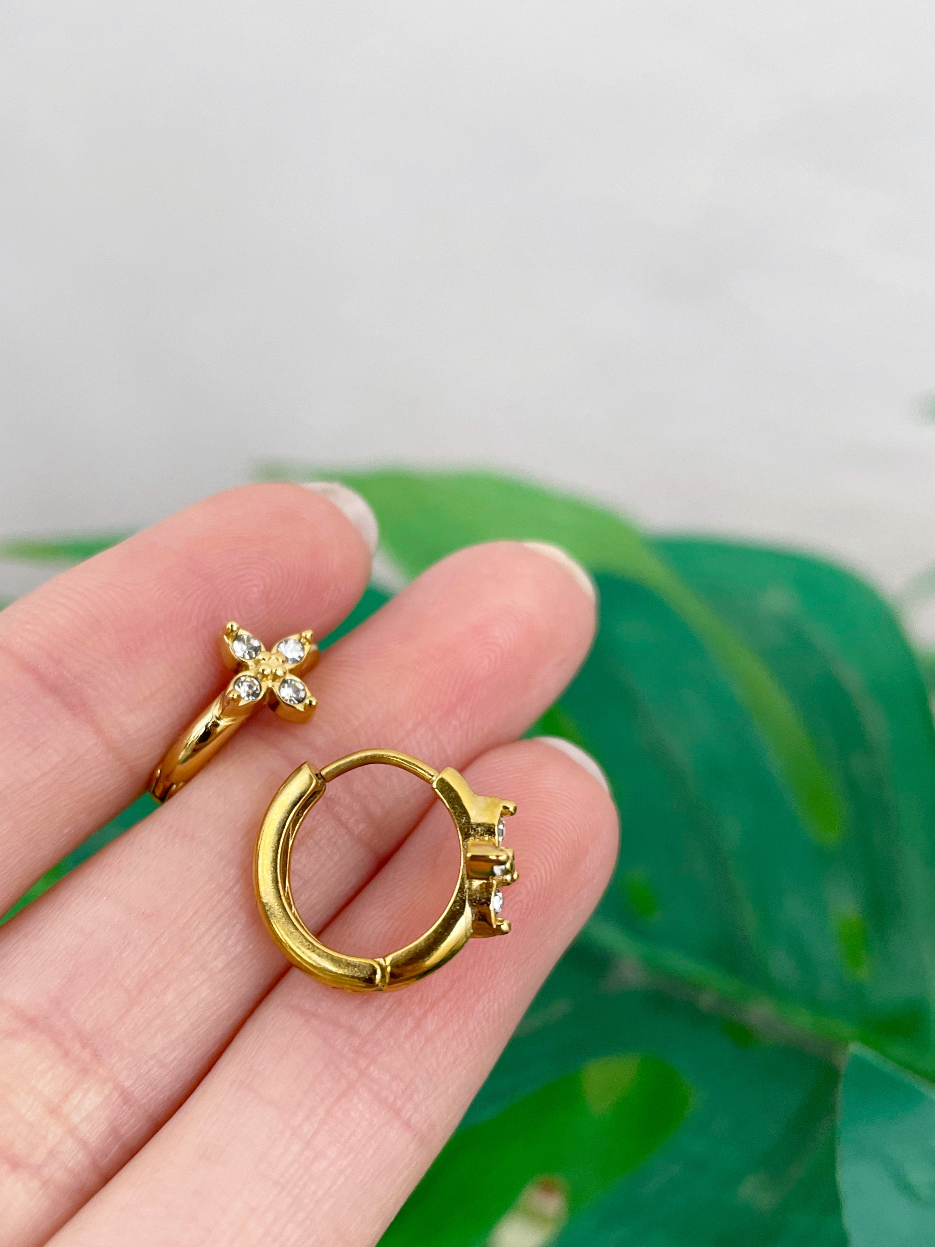 Aros Noah 10mm (par)