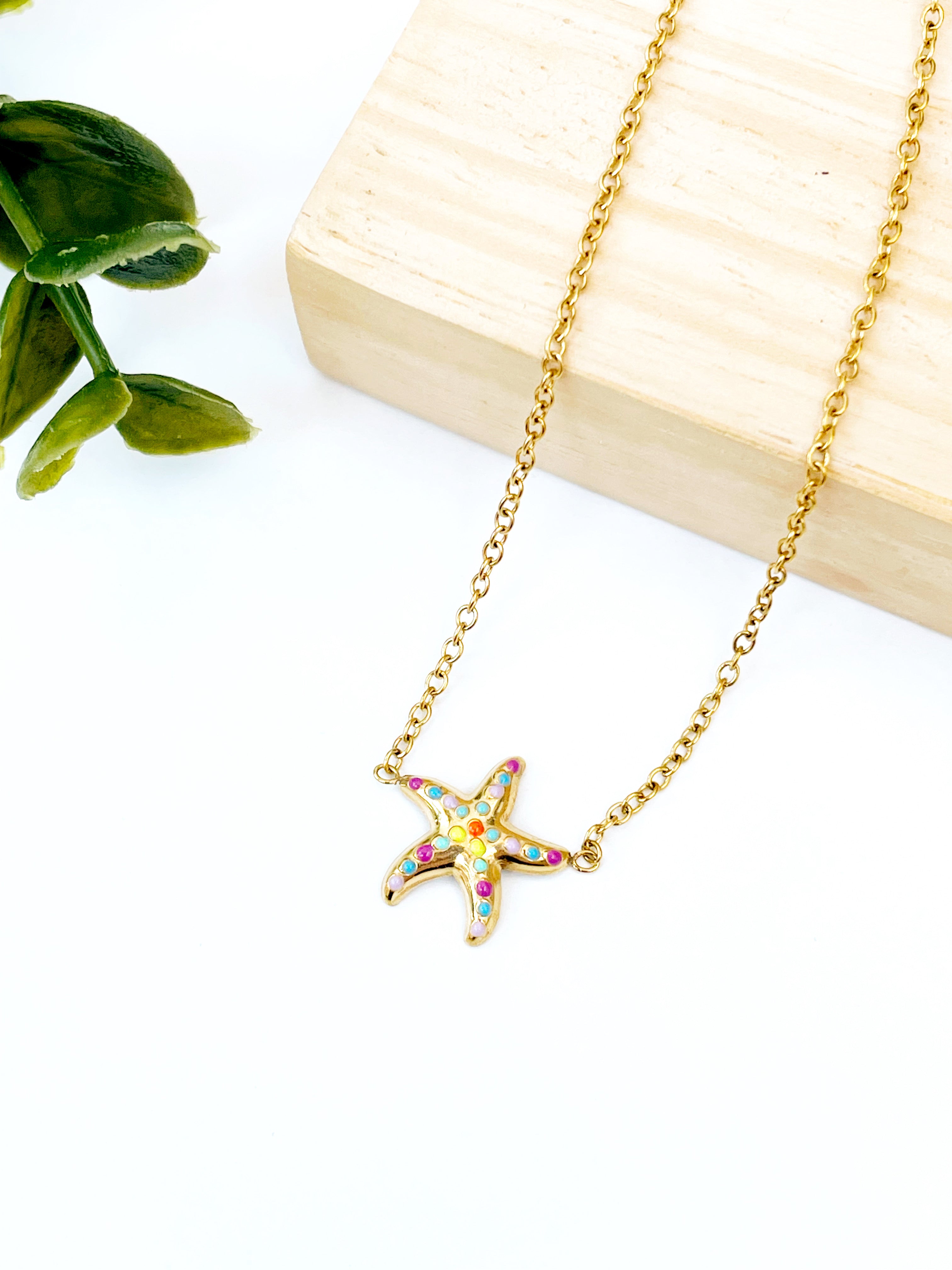 Estrella de mar multicolor