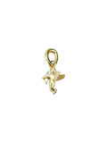 Charm cupido