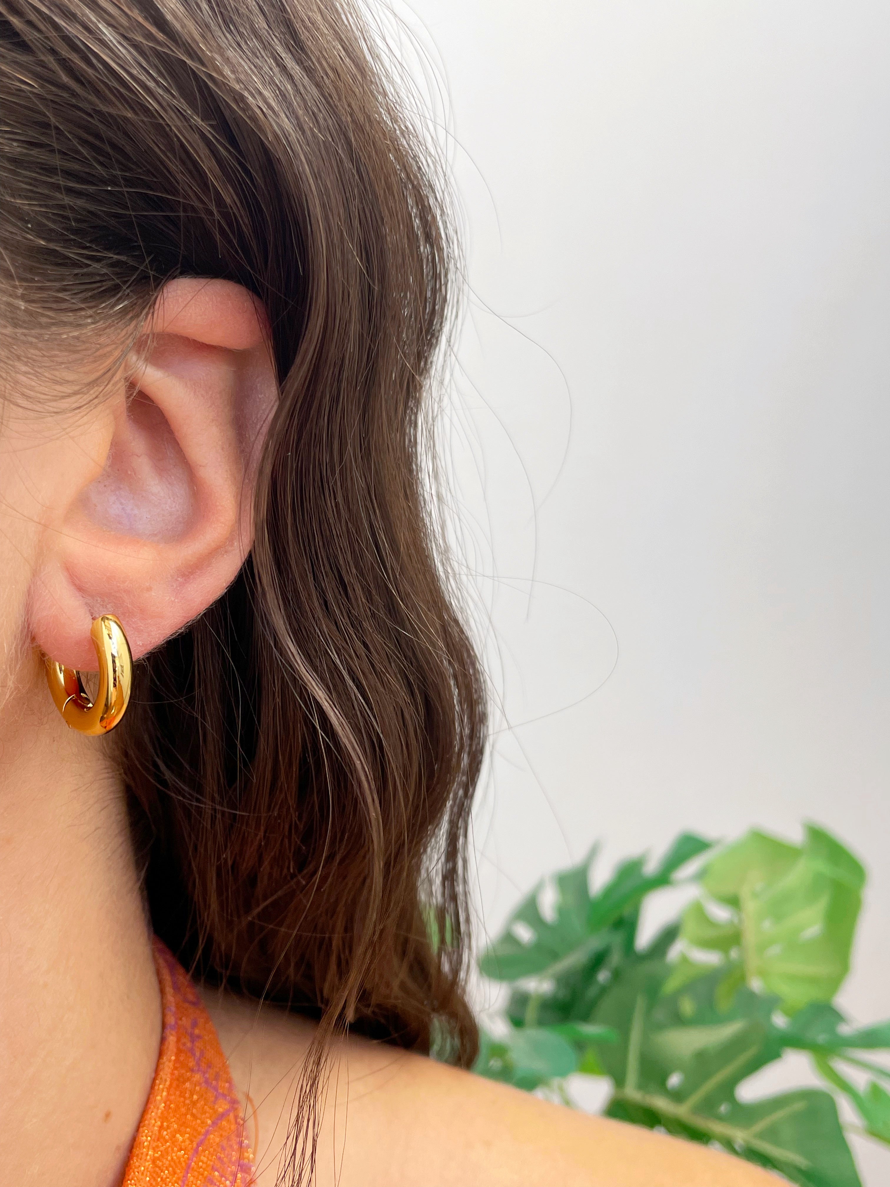 Aros Roma 10mm (par)