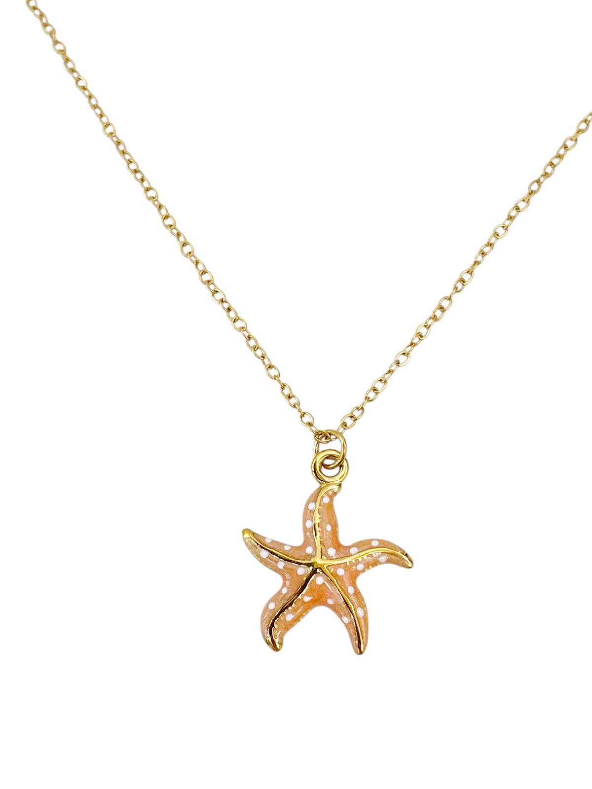 Estrella de mar naranjita