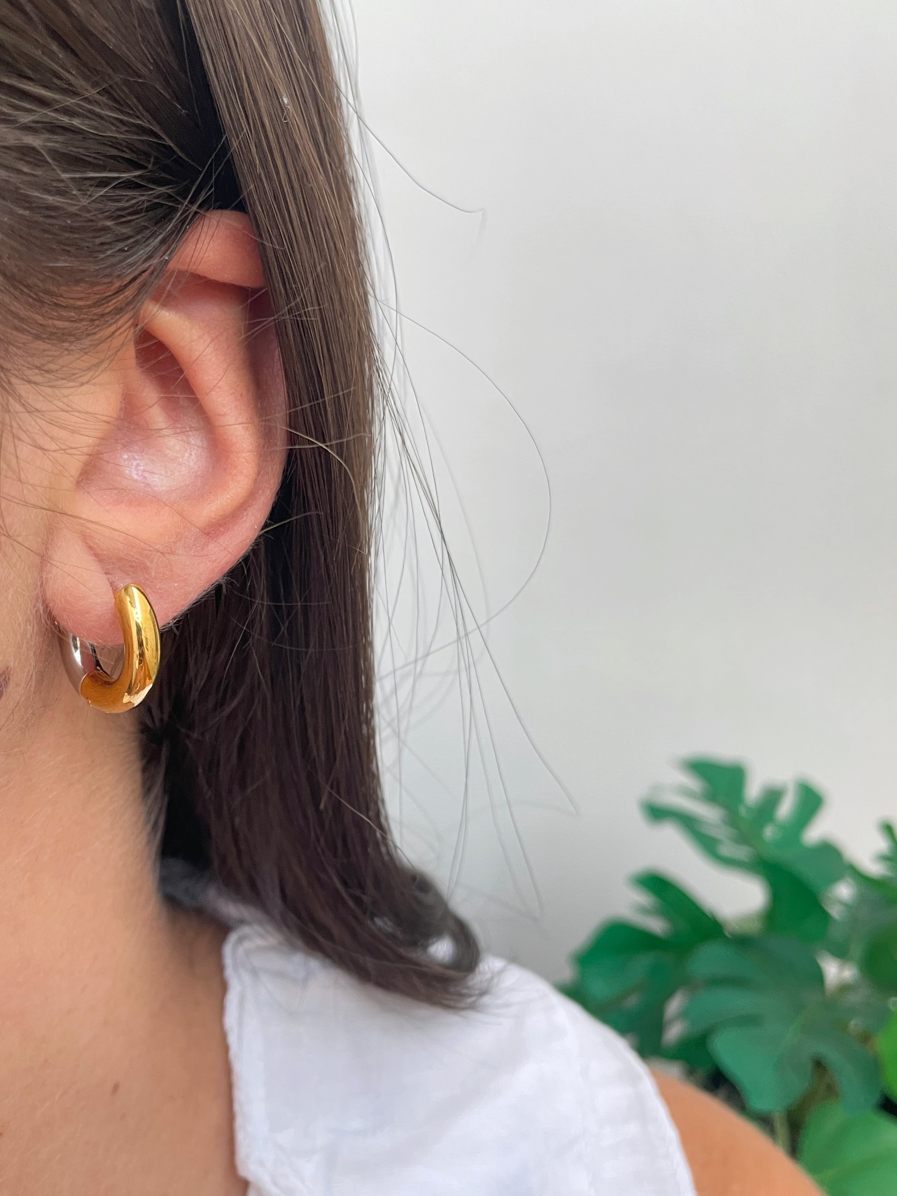 Aros bicolor 10mm (par)