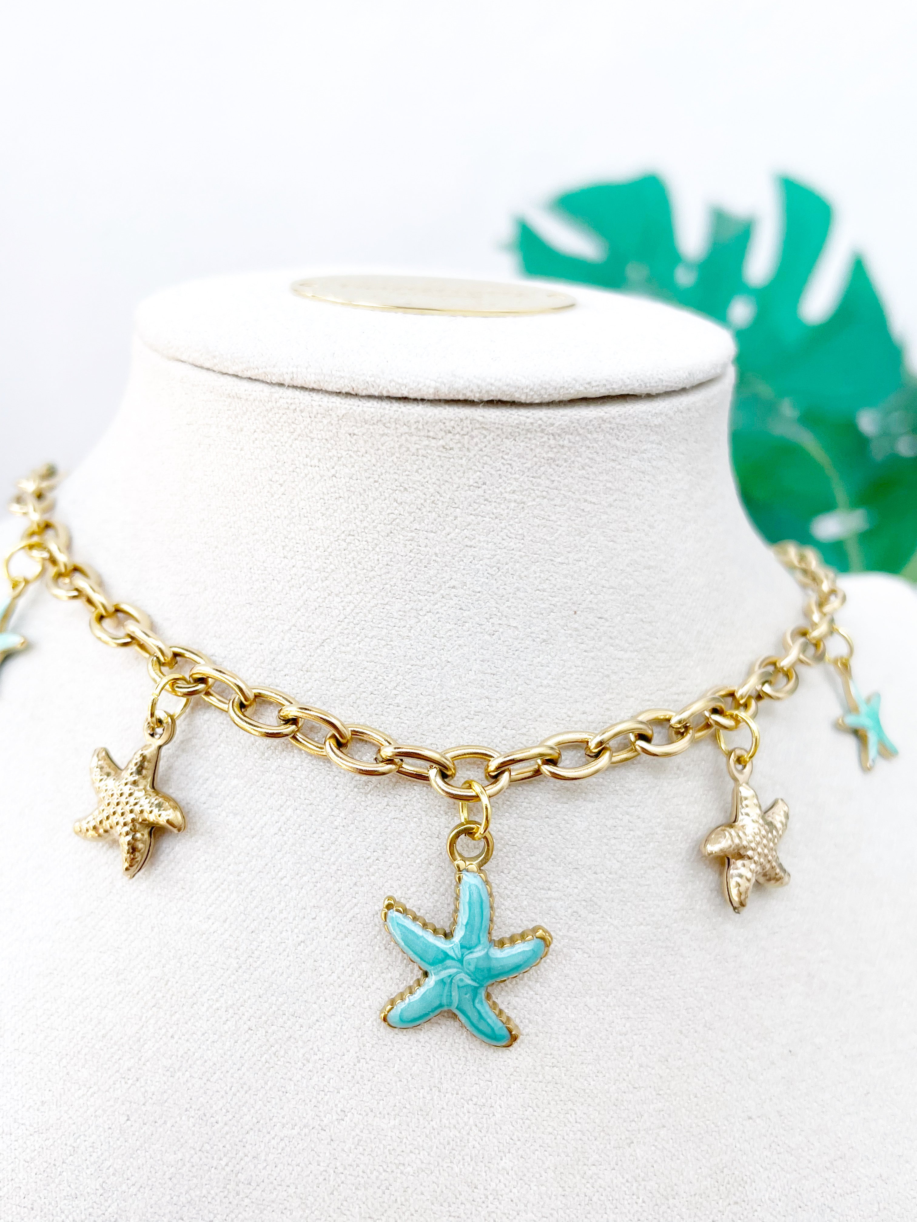 Estrellitas de mar aguamarina
