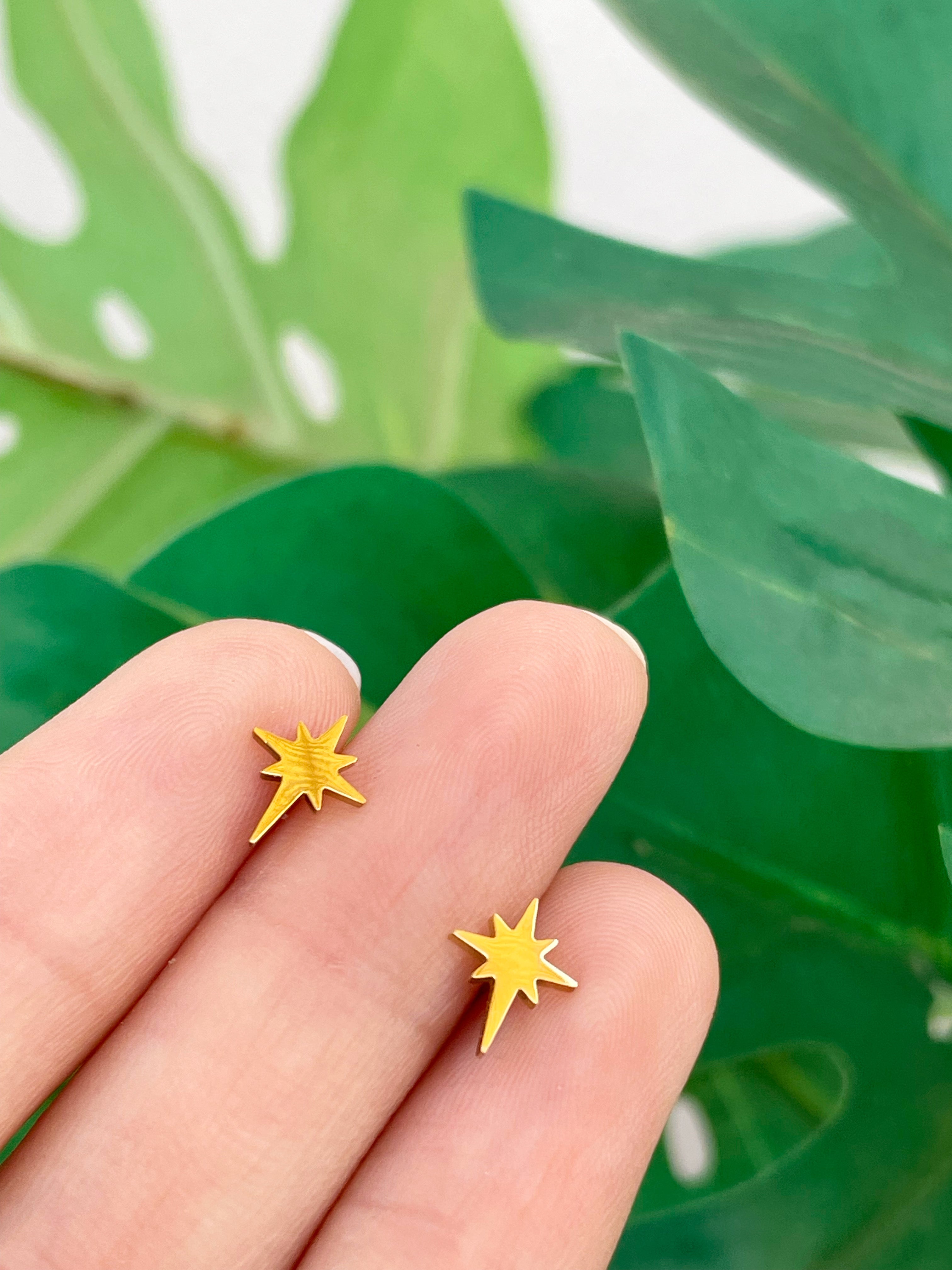 Estrella polar (unidad)