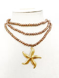 Estrella de mar marrón