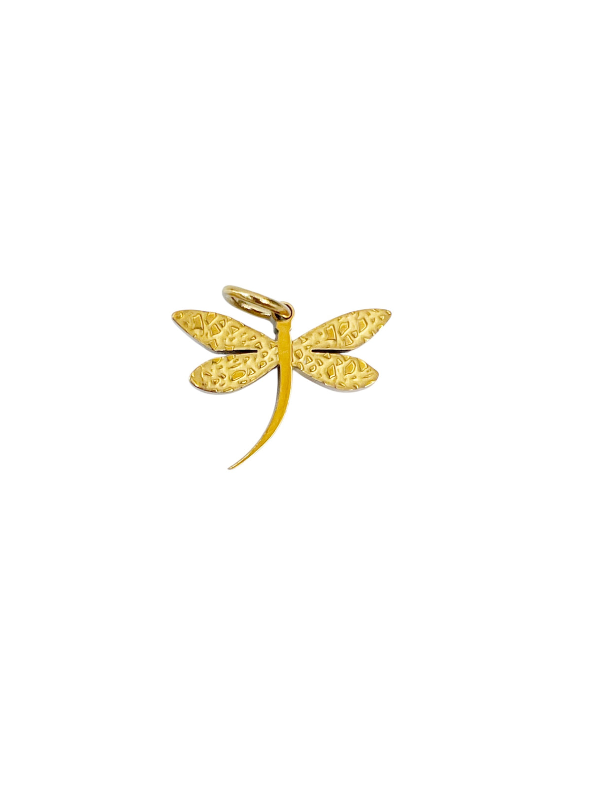 Charm libélula