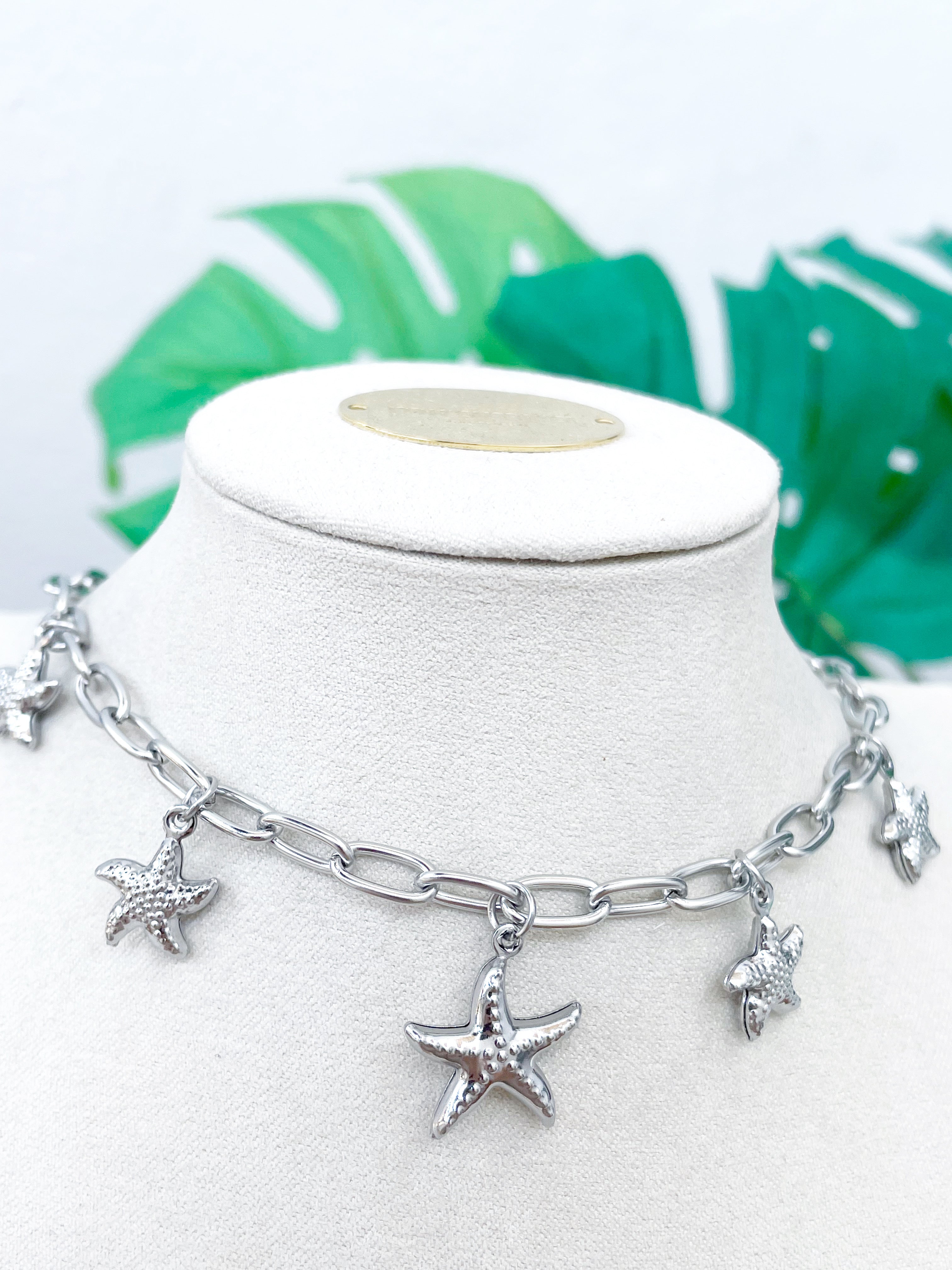 Estrellas de mar plateado