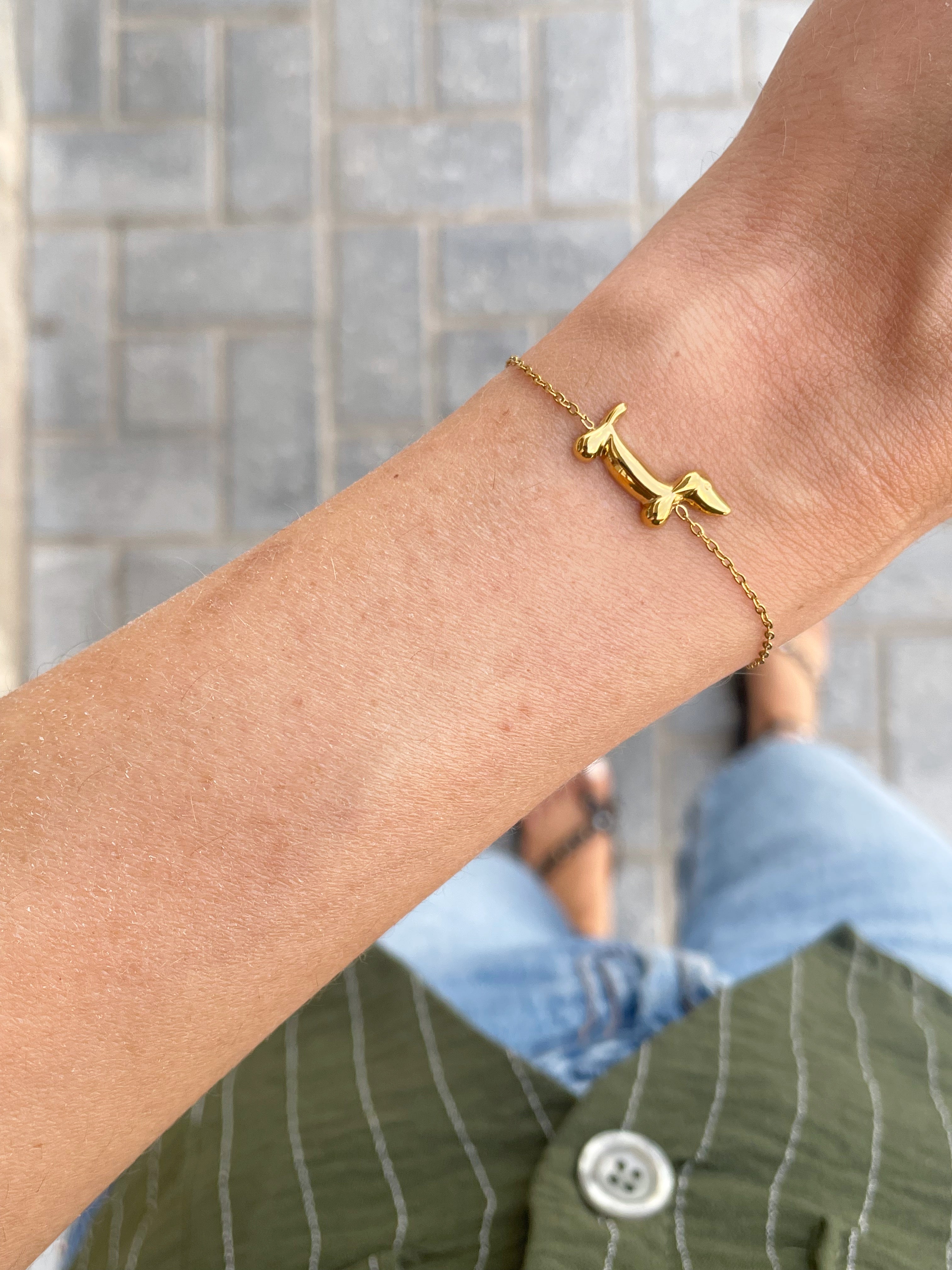 Pulsera Teckel