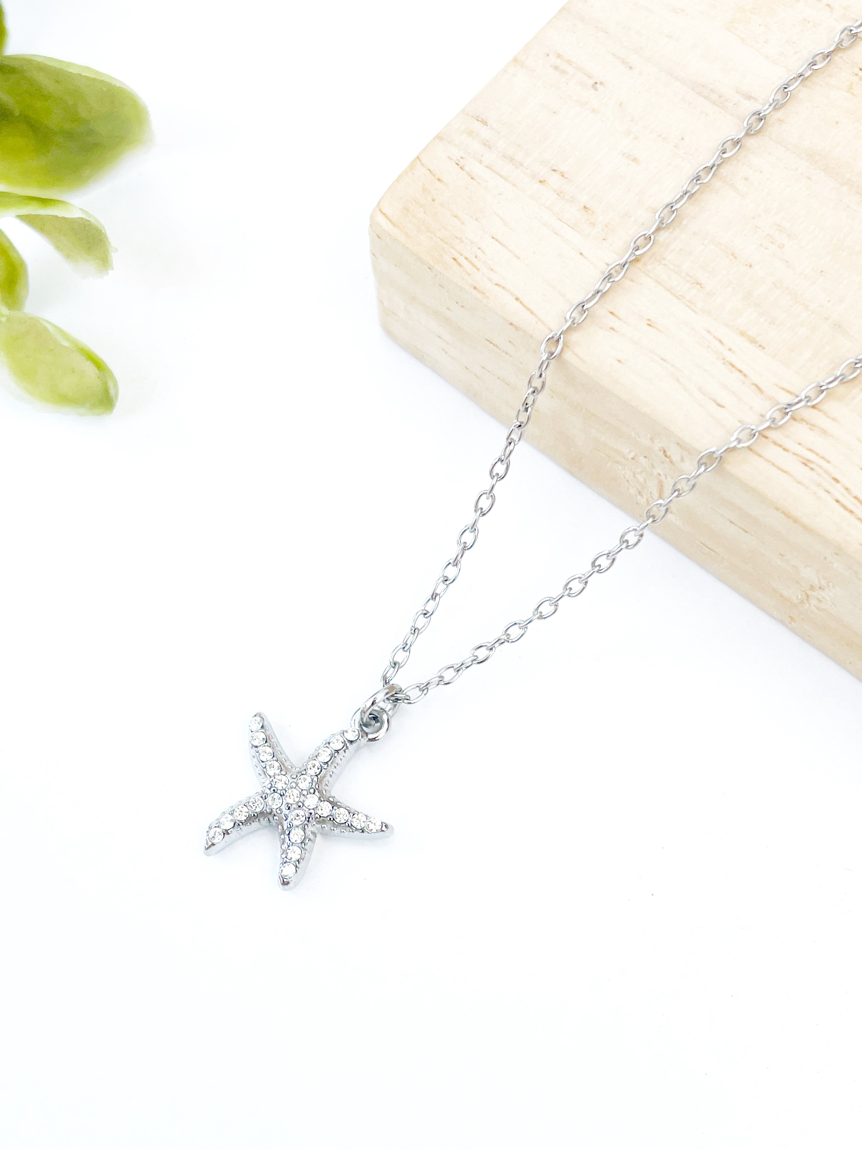 Estrella de mar plata