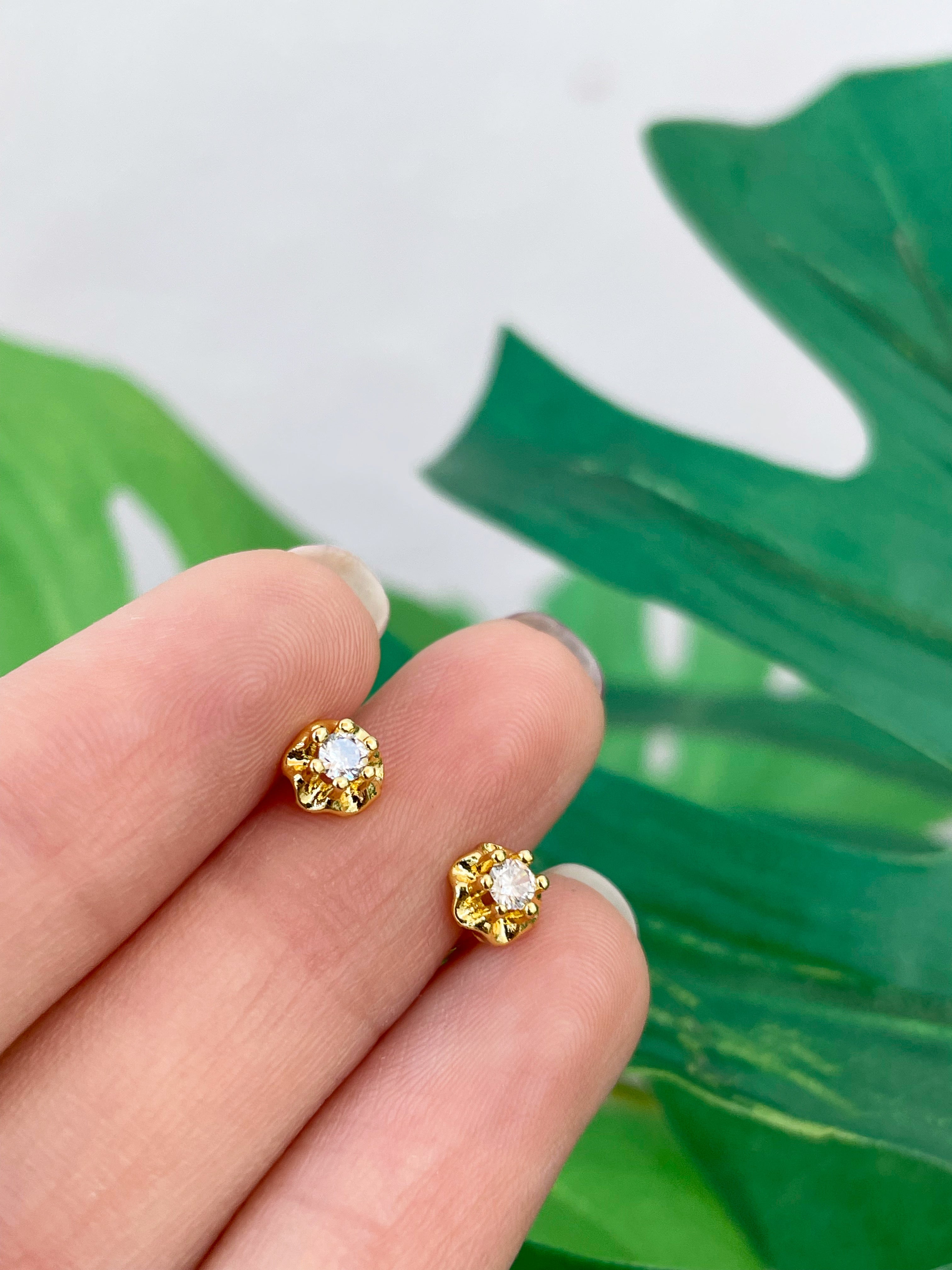 Mini Alicia (unidad) Cierre plano