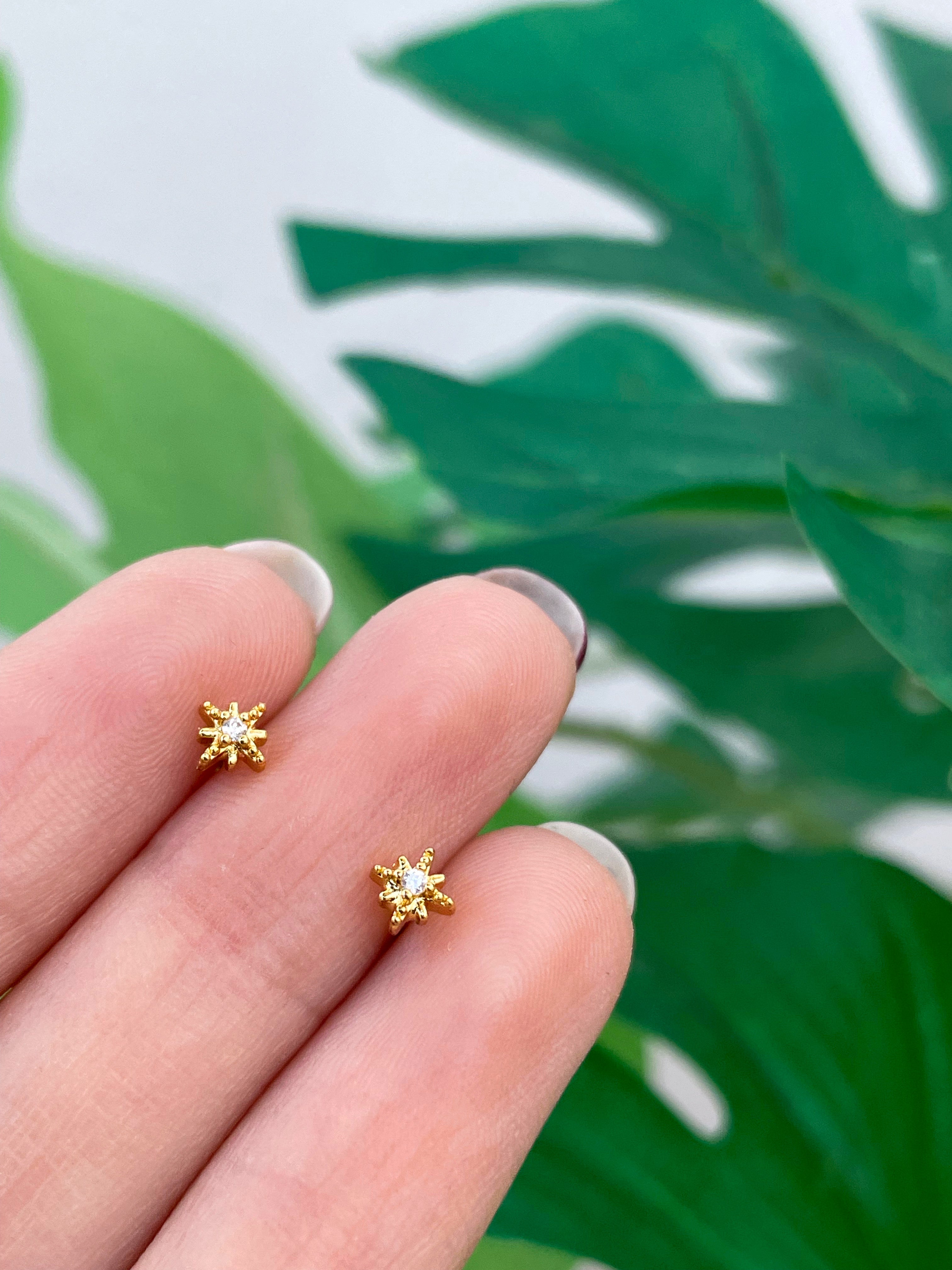 Mini Esme (unidad) Cierre plano