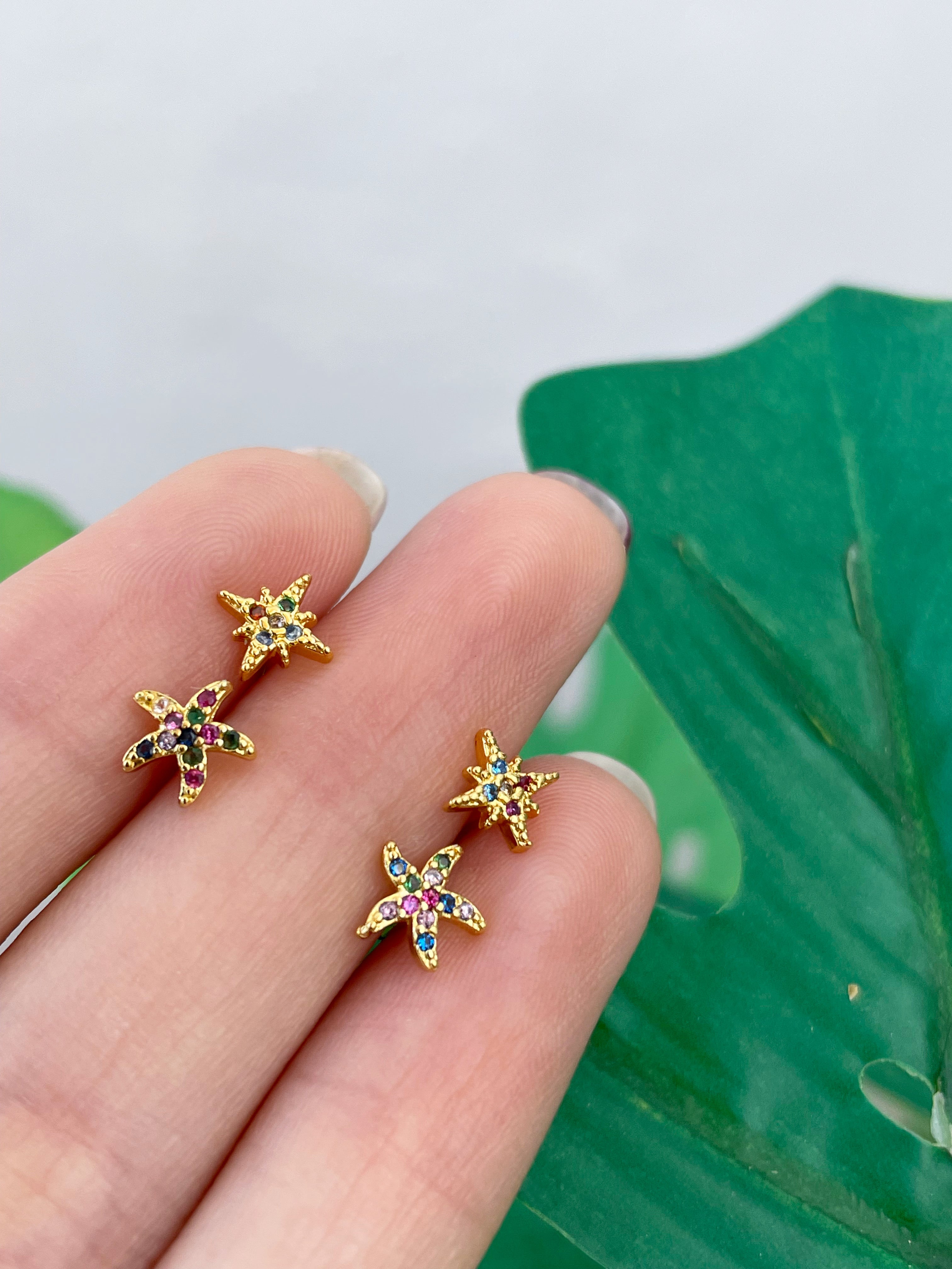 Mini Betty (unidad) Cierre plano