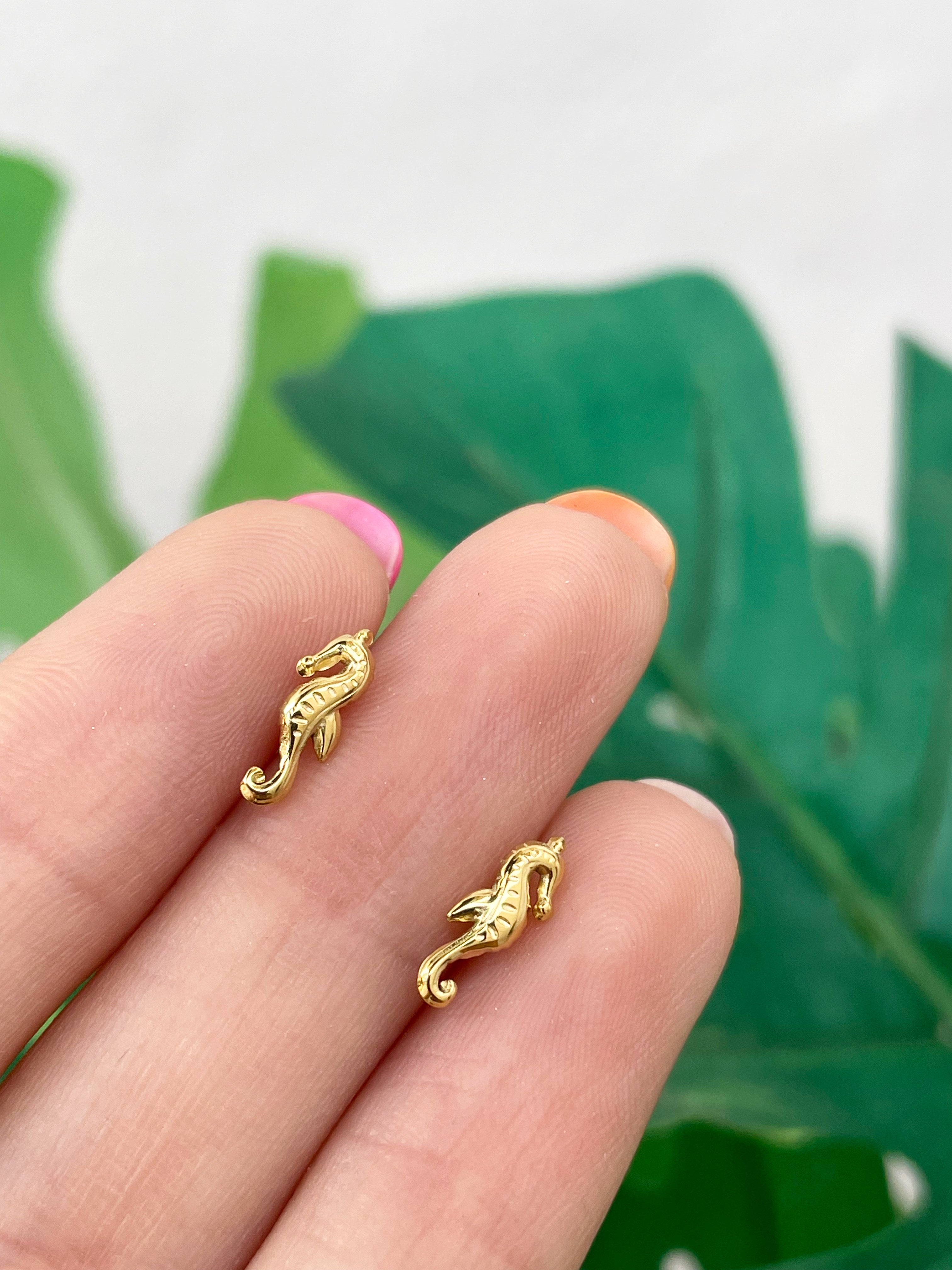 Mini caballito de mar (unidad)