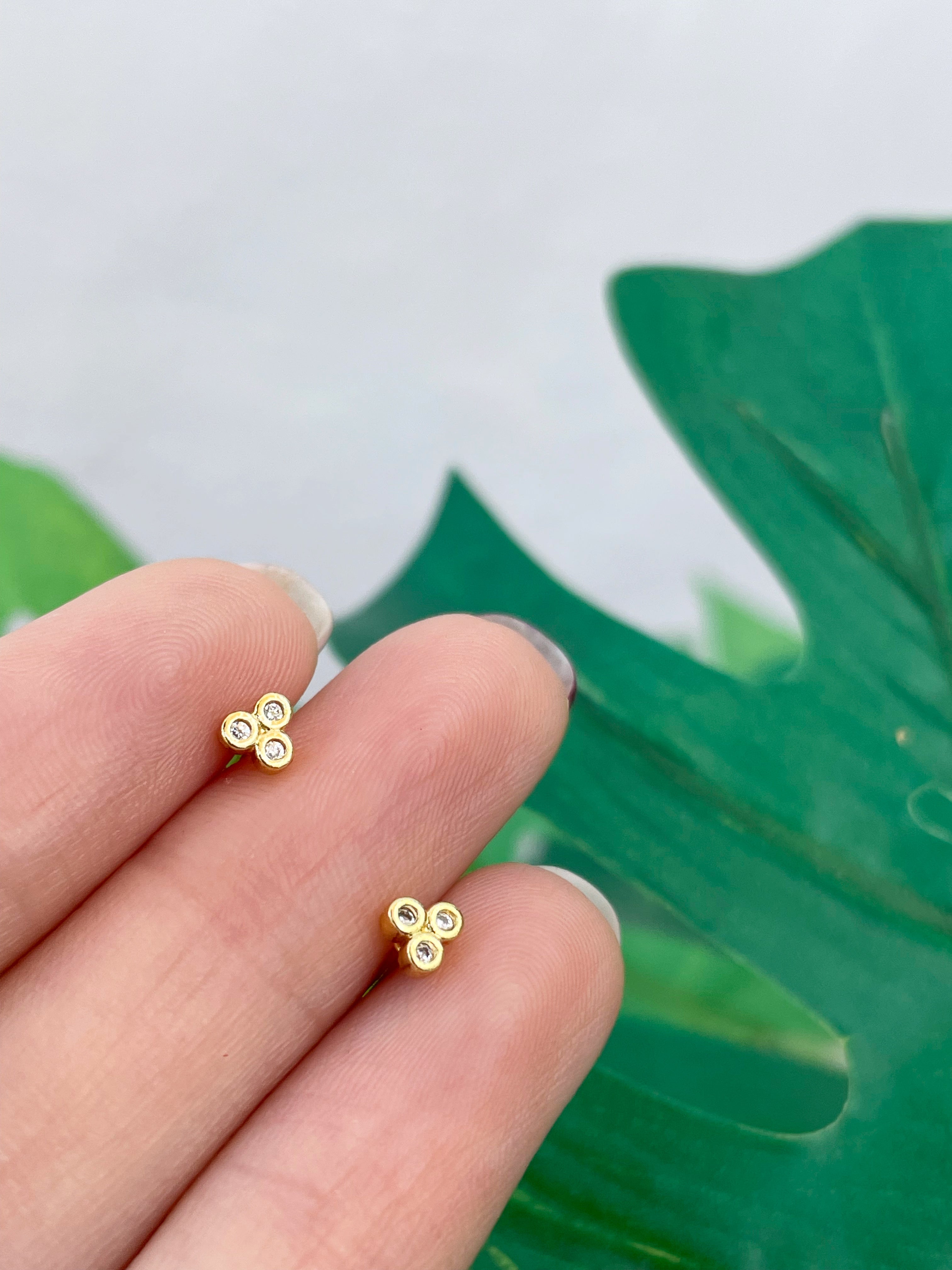 Mini Joanna (unidad) Cierre plano